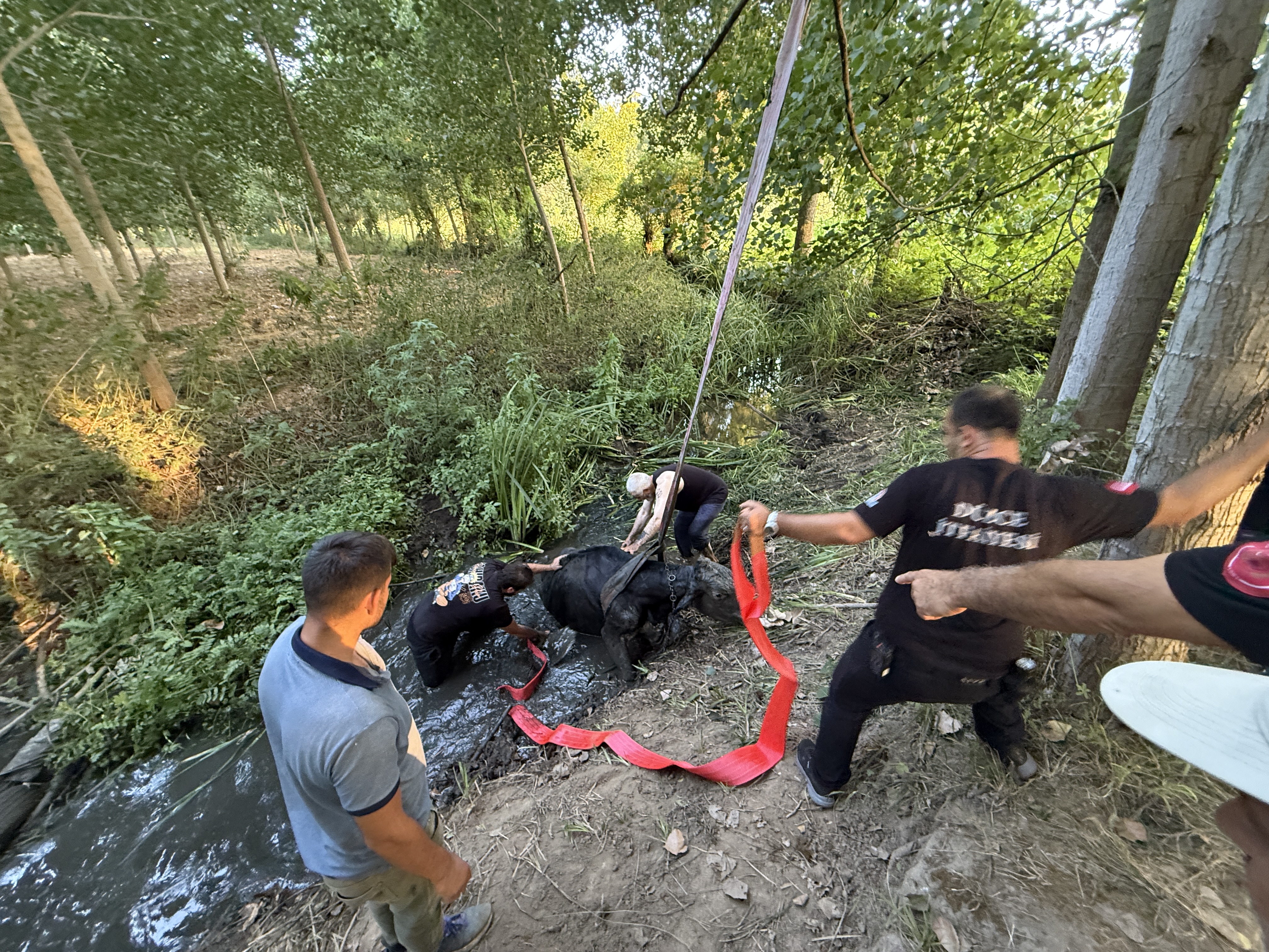 A A 20250807 38770718 38770712 D U Z C E D E B A T A K L I G A S A P L A N A N I N E K K U R T A R I L D I