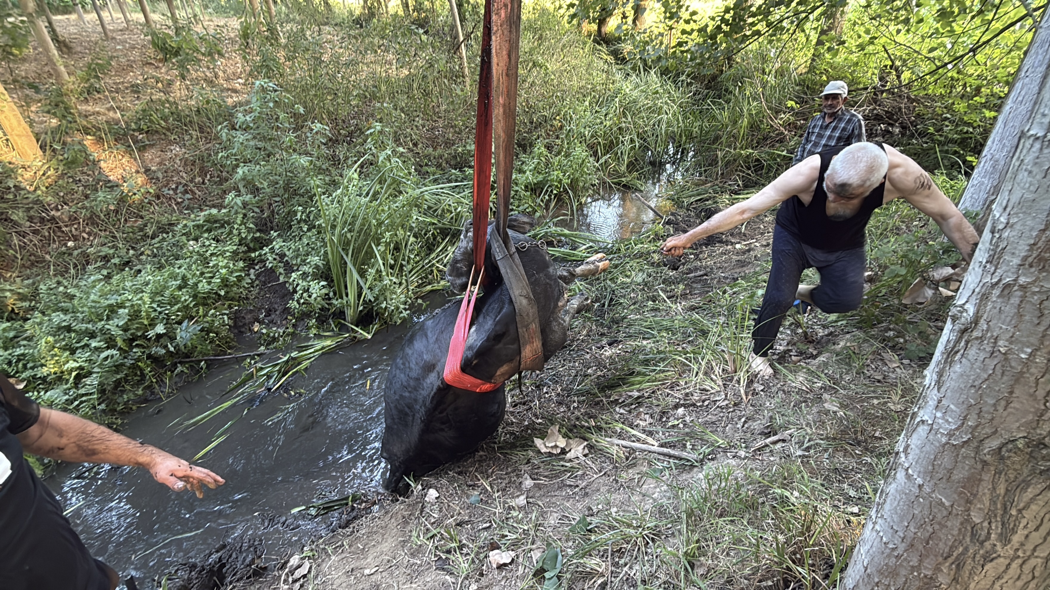 A A 20250807 38770718 38770715 D U Z C E D E B A T A K L I G A S A P L A N A N I N E K K U R T A R I L D I