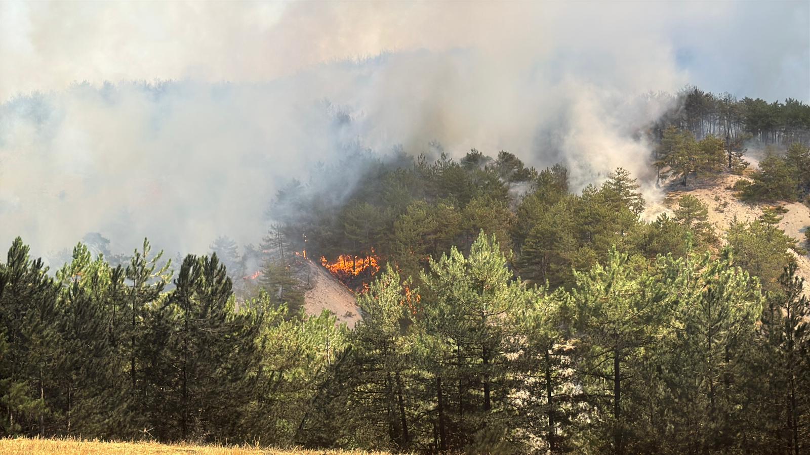 A A 20250811 38800337 38800327 B O L U D A C I K A N O R M A N Y A N G I N I N A M U D A H A L E E D I L I Y O R