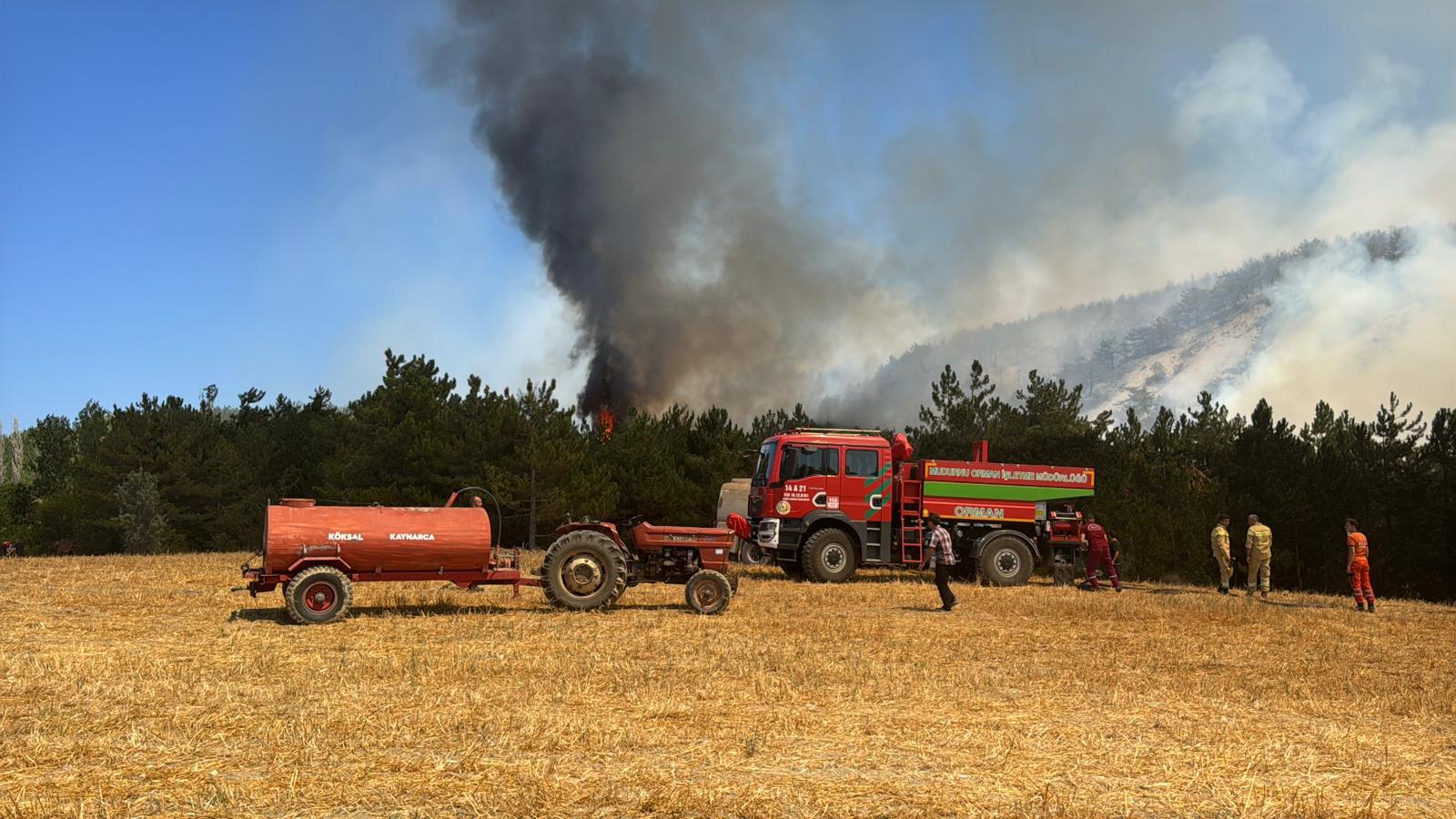 A A 20250811 38800337 38800329 B O L U D A C I K A N O R M A N Y A N G I N I N A M U D A H A L E E D I L I Y O R