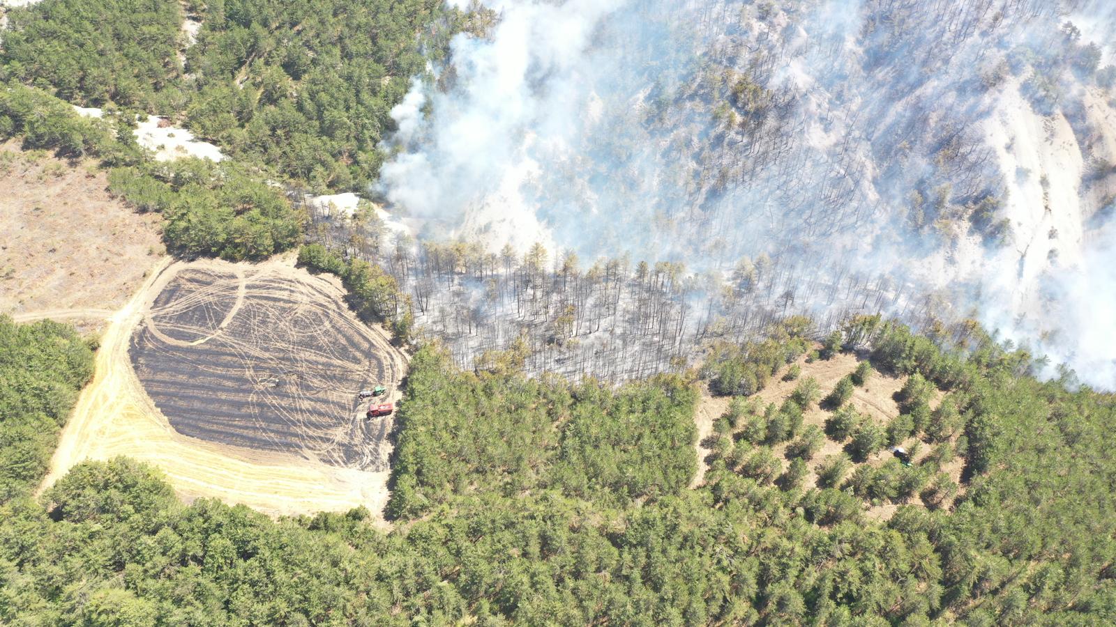 A A 20250811 38800337 38800332 B O L U D A C I K A N O R M A N Y A N G I N I N A M U D A H A L E E D I L I Y O R