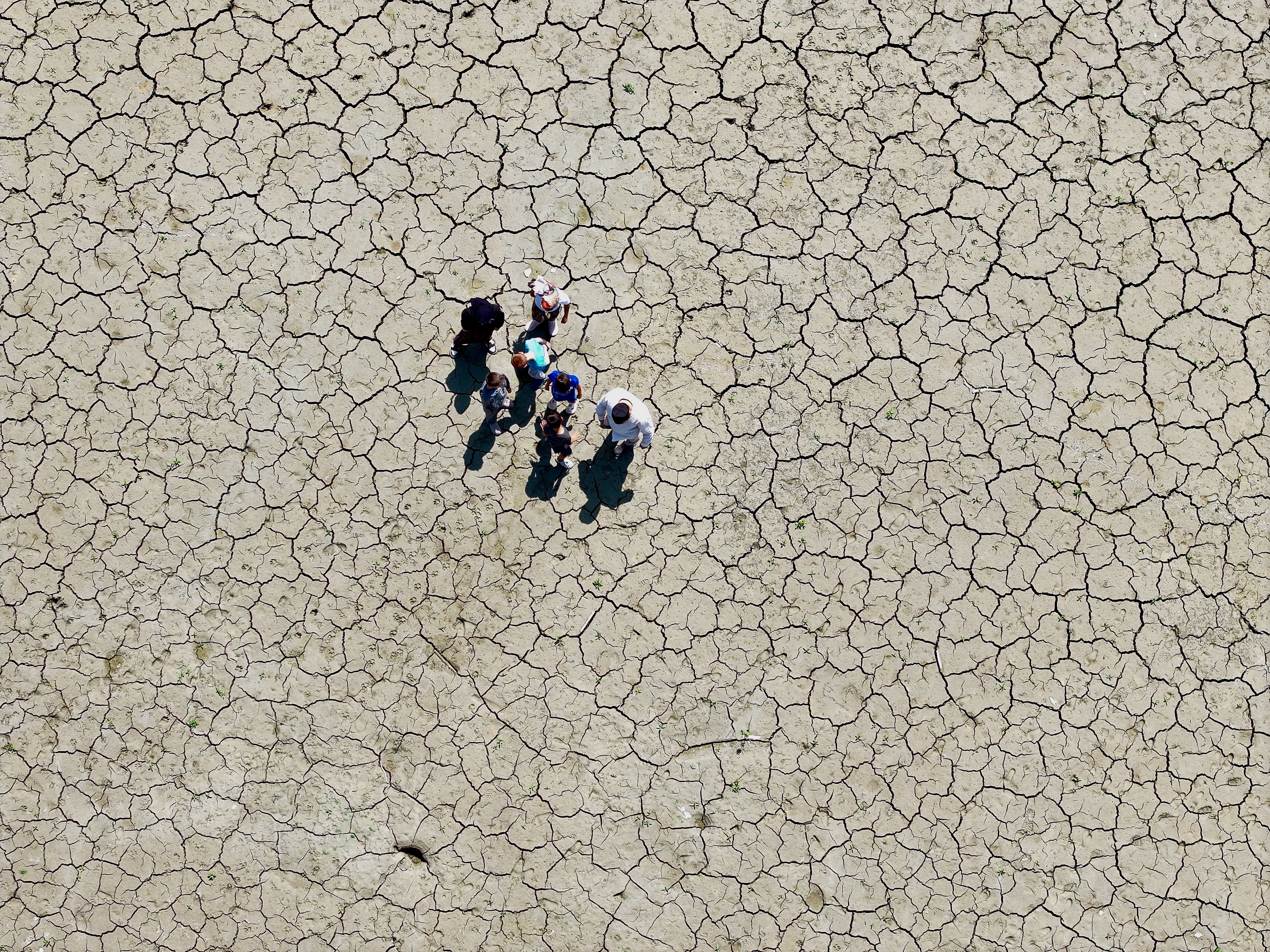 A A 20250817 38850819 38850818 C A M I D E K U R A N O K U M A Y I S A H A D A I S E C E V R E B I L I N C I V E S U Y U N O N E M I N I O G R E N I Y O R L A R