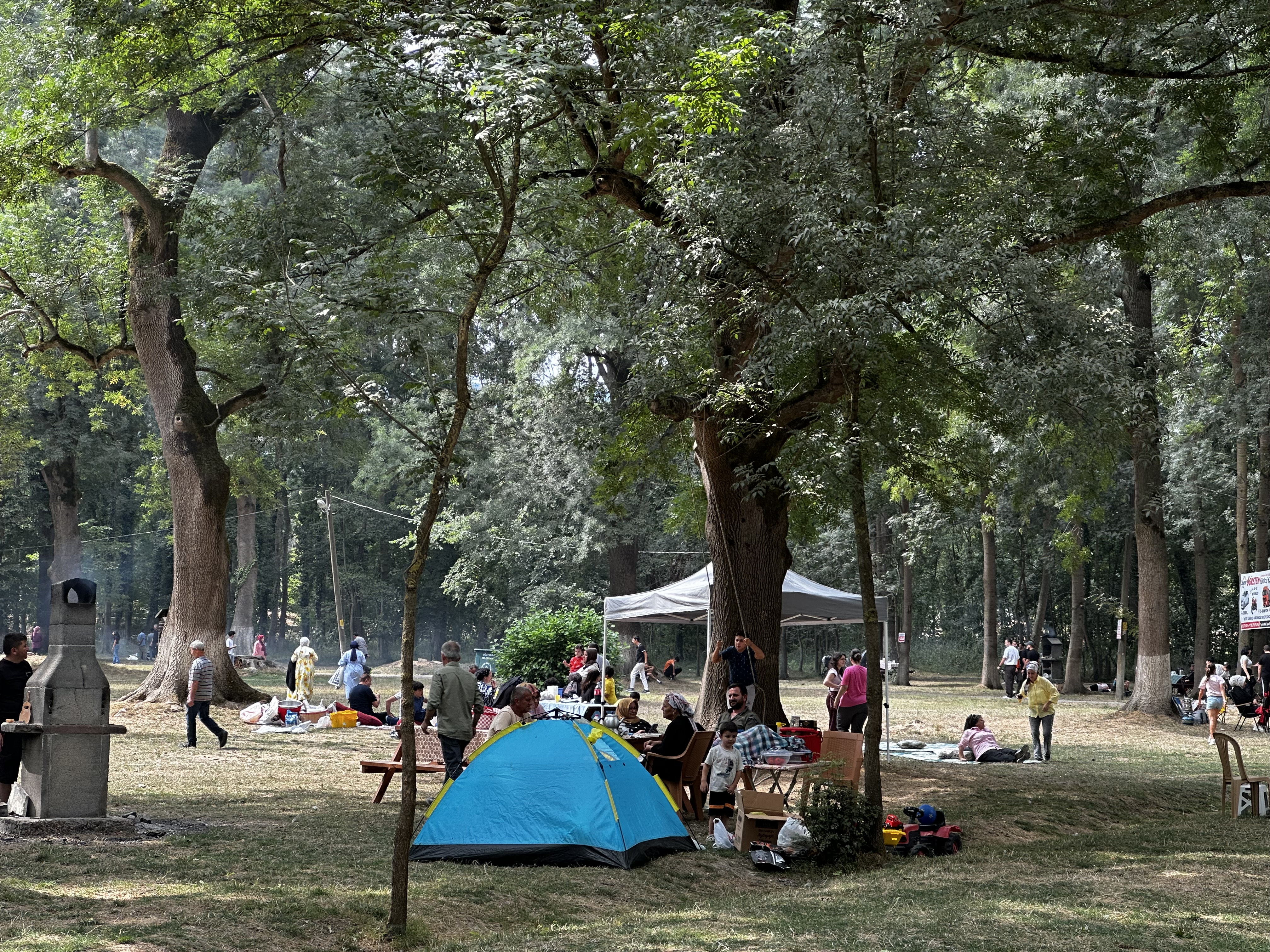 A A 20250824 38913980 38913976 D U Z C E D E 88 I N C I G E L E N E K S E L K A R D U Z Y A Y L A S I S E N L I K L E R I E T K I N L I K L E R L E S U R U Y O R