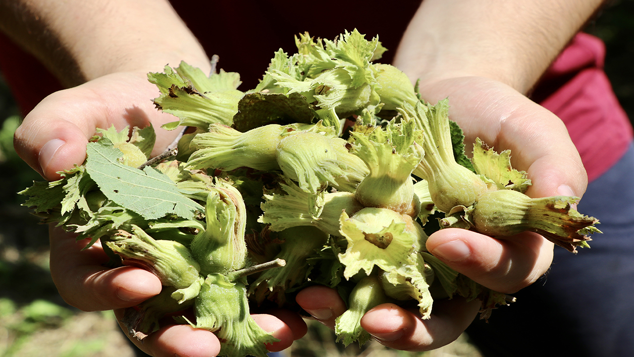 C A E R K G J W E R I J T P E R