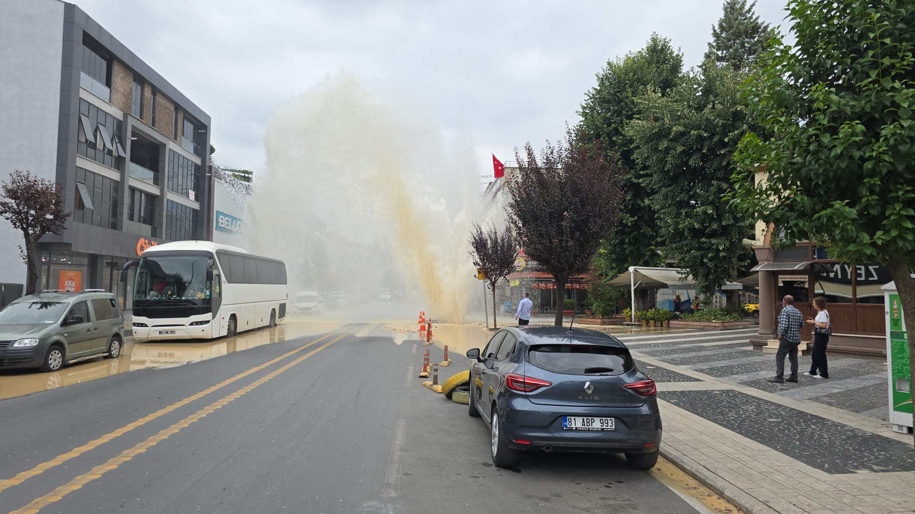 D2Bd2B38 B57A 4187 960E A151Af9Ea7D0