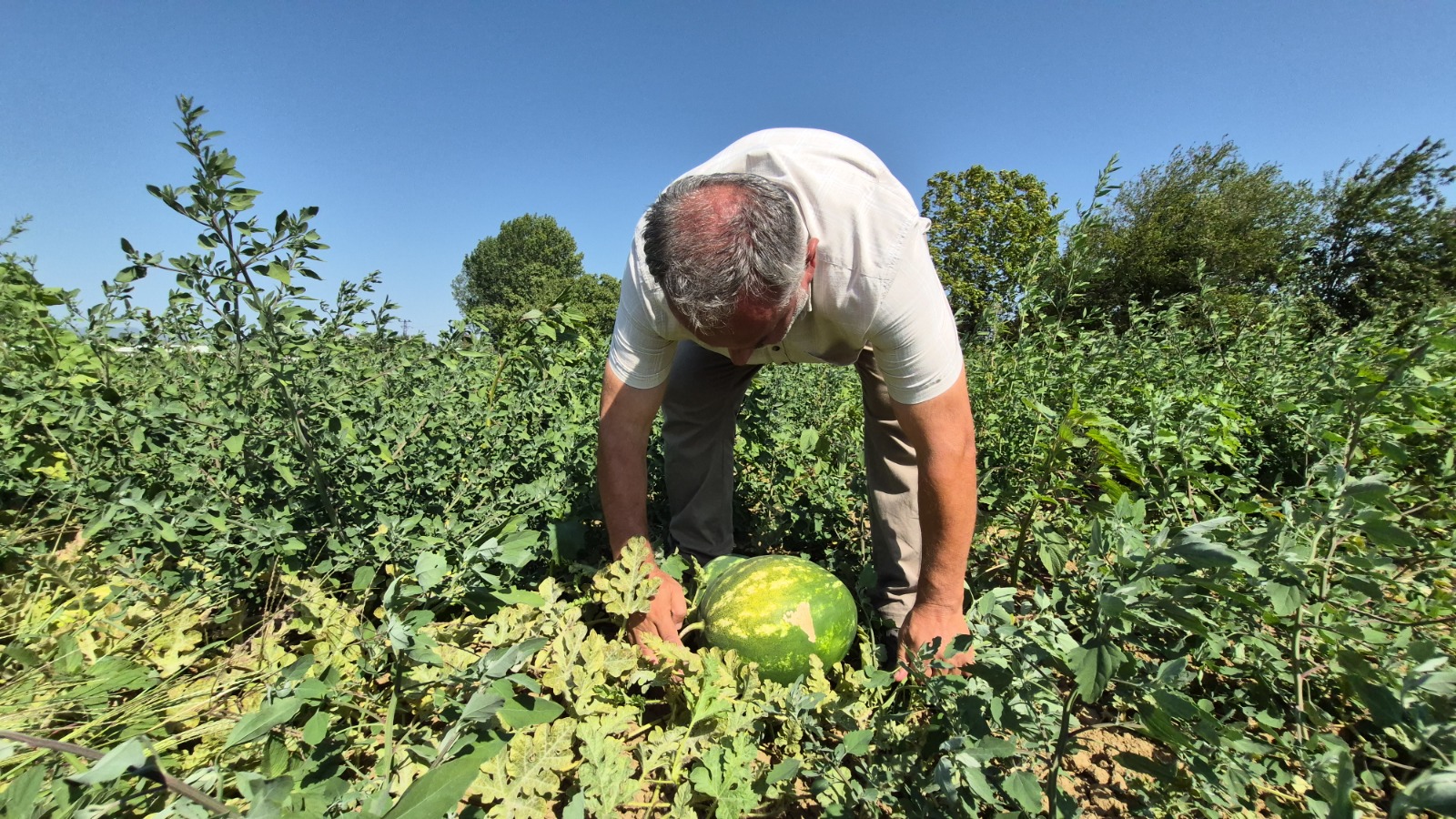 Db4C3404 9E23 4F59 9A68 179D67C25B40