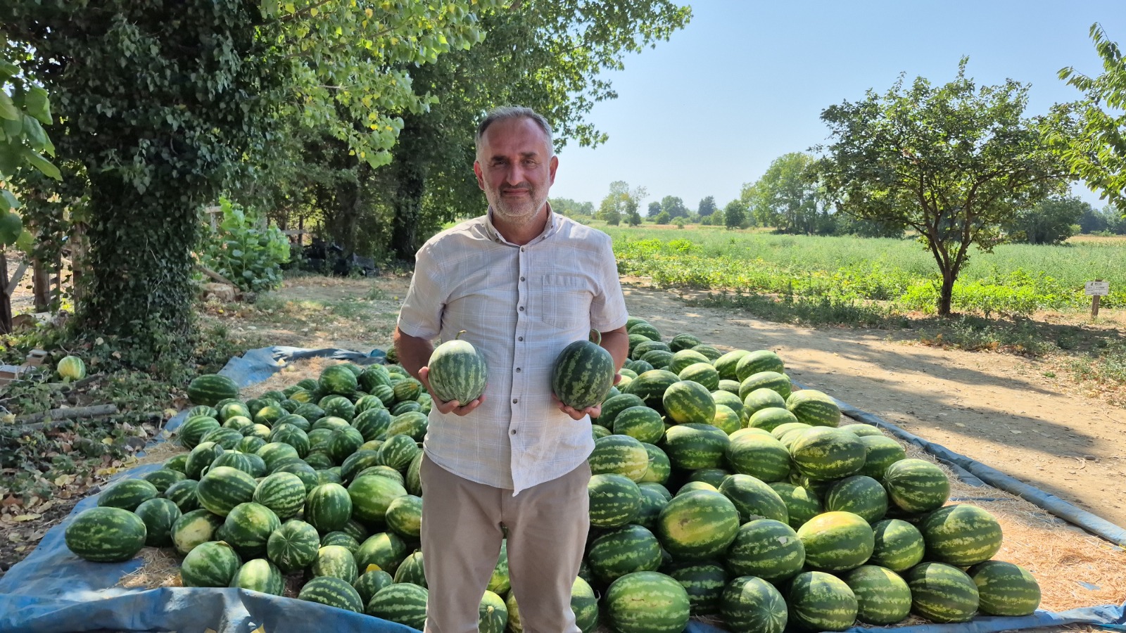 Fa12A48F 1Bb6 45Af Aacc 63B35914Af28