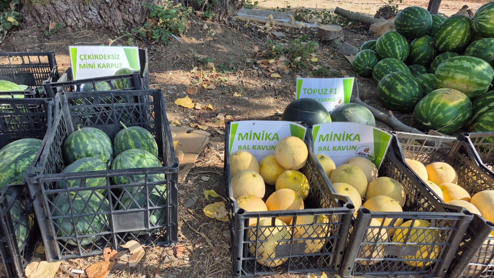 Fbbf180C 81Ad 4061 9C87 2Fbba7695F83