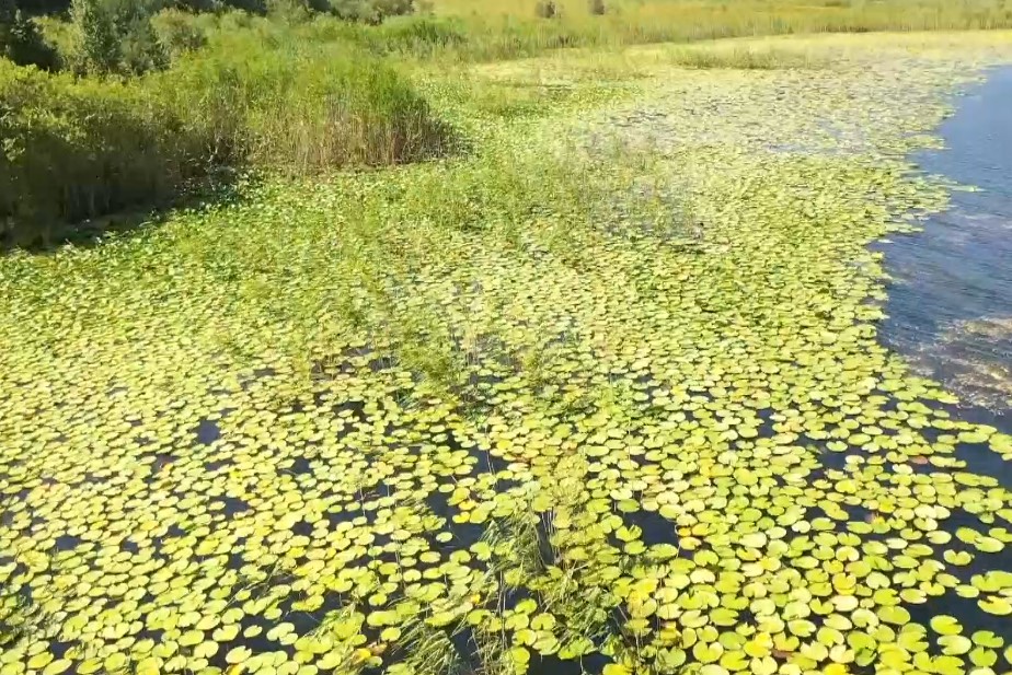 G D F G D F G D F G D G