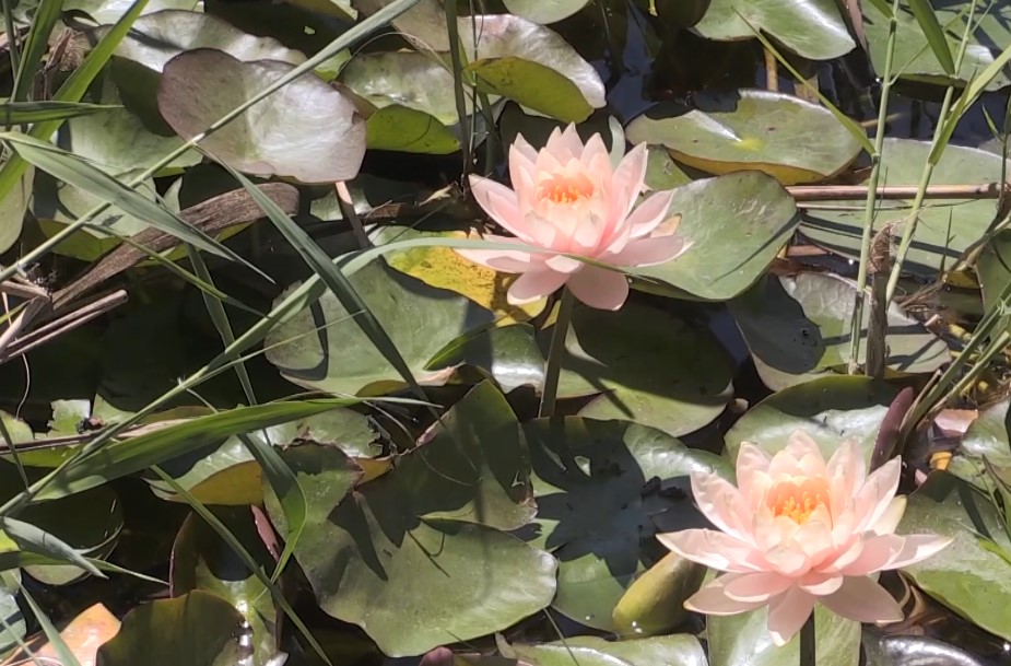 G D F G D G D G D H F G H F G H