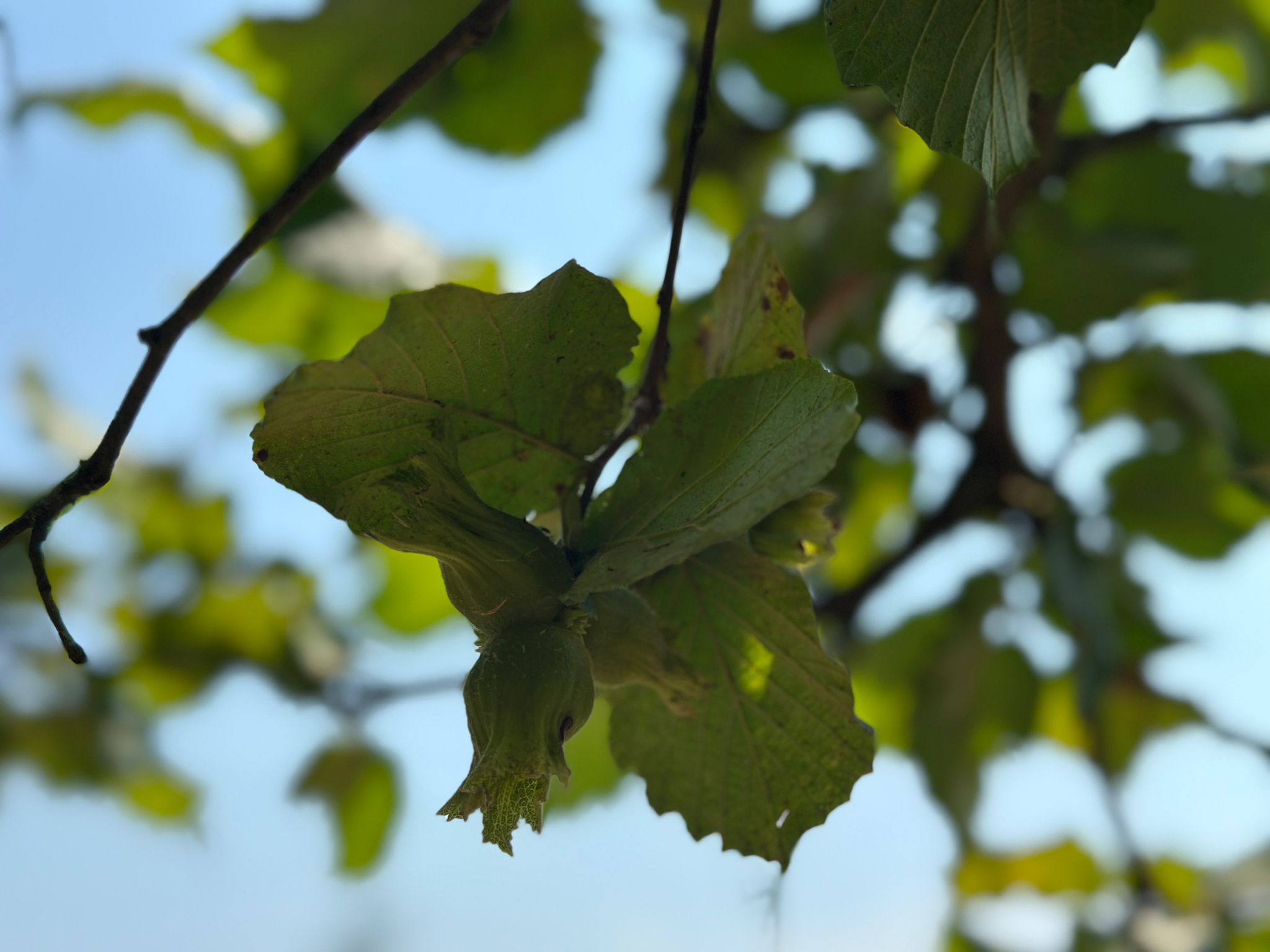 Whatsapp Image 2025 08 07 At 13.07.35