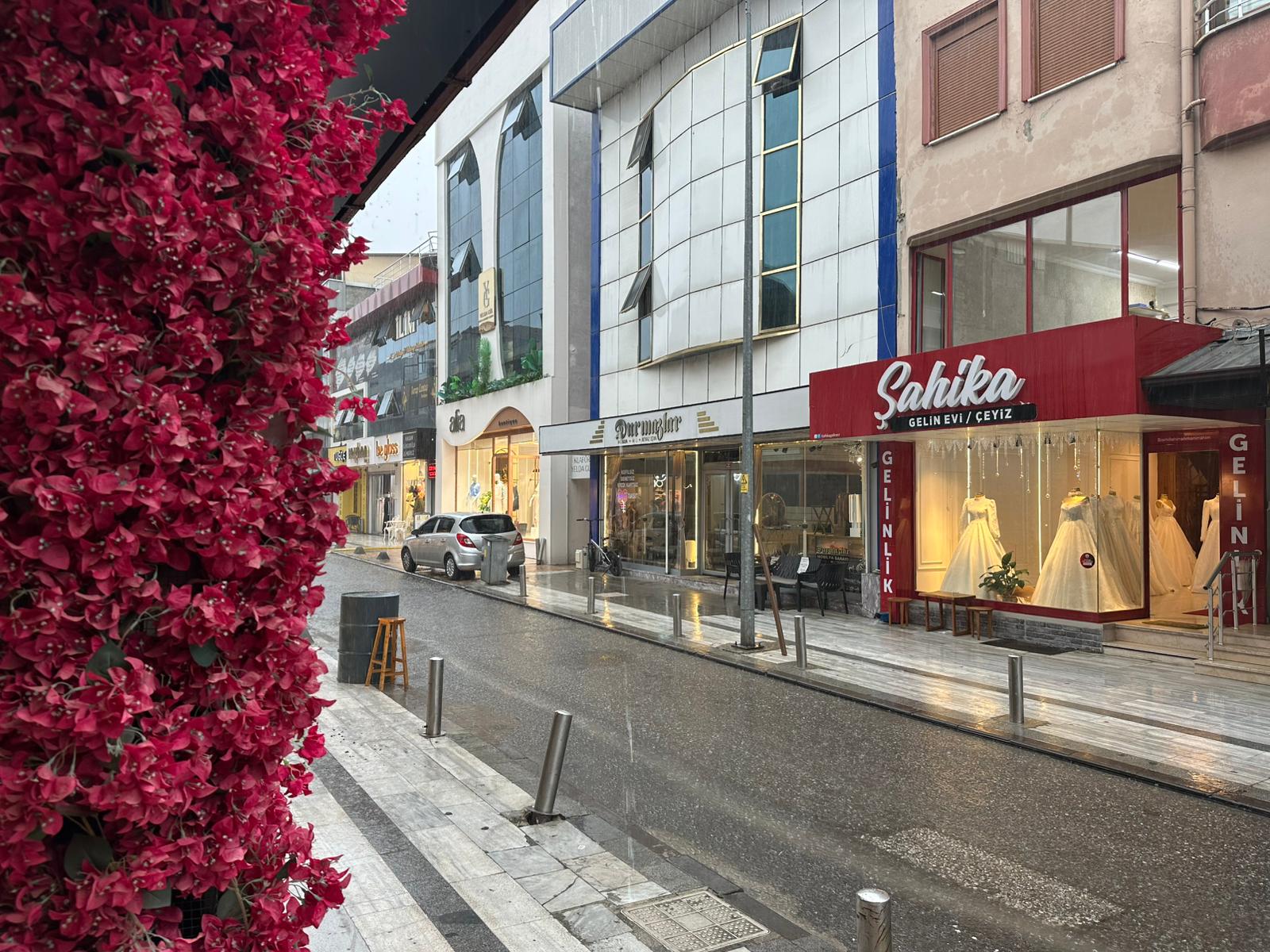 1D6Fcf11 B300 479F 88E3 9F6C9718Bb8D