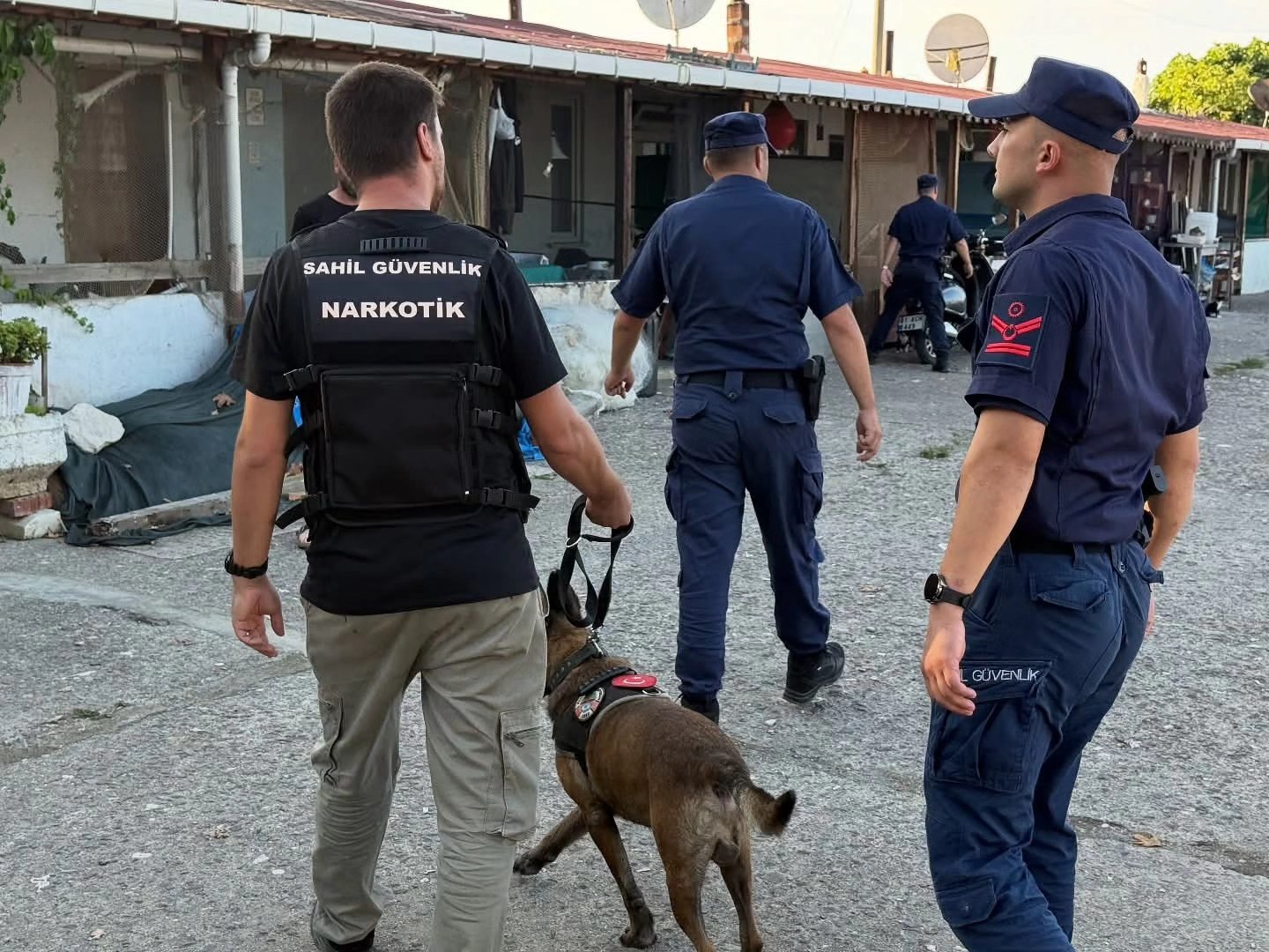 545401673 2030309517717852 2101720557459041183 N