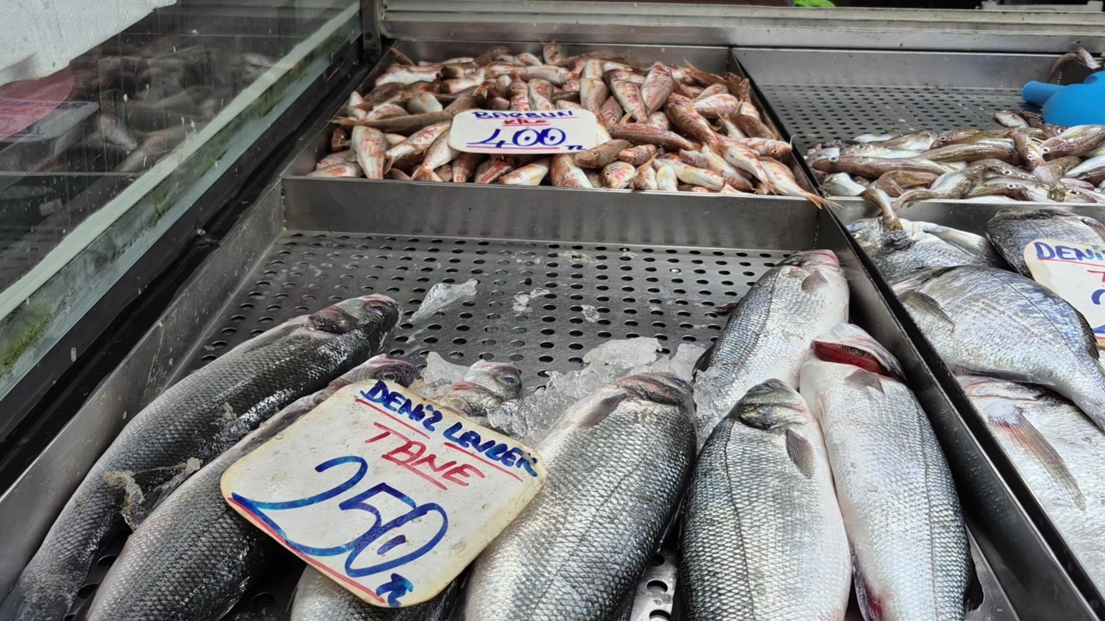 05290Af7 013C 47Cd A1Ed A1988Ecaf569 (1)