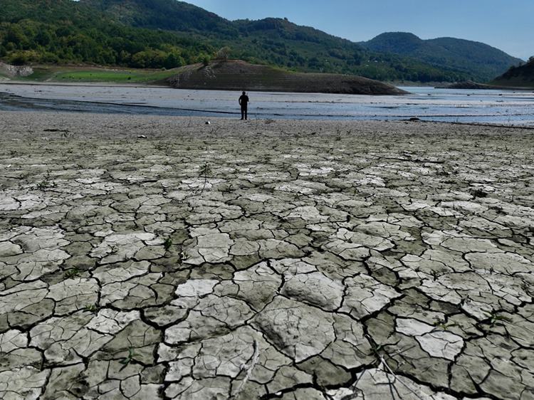 2025 07 20250731 2 70175107 115637490