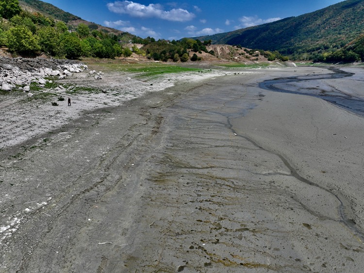 2025 07 20250731 2 70175107 115637493