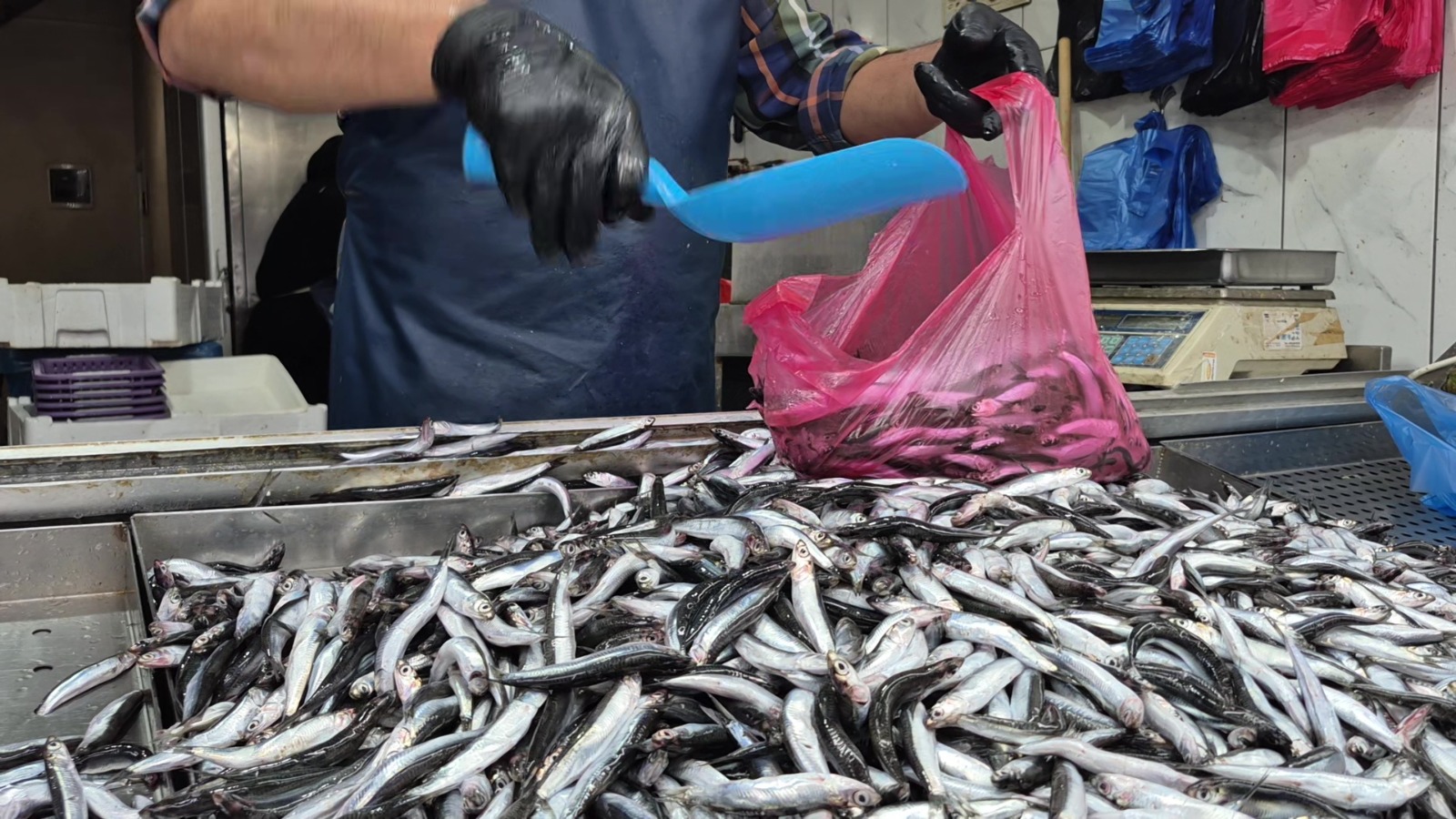 3Bb9D49B Fed9 44A0 Bd87 89C1Ebe9Bc51