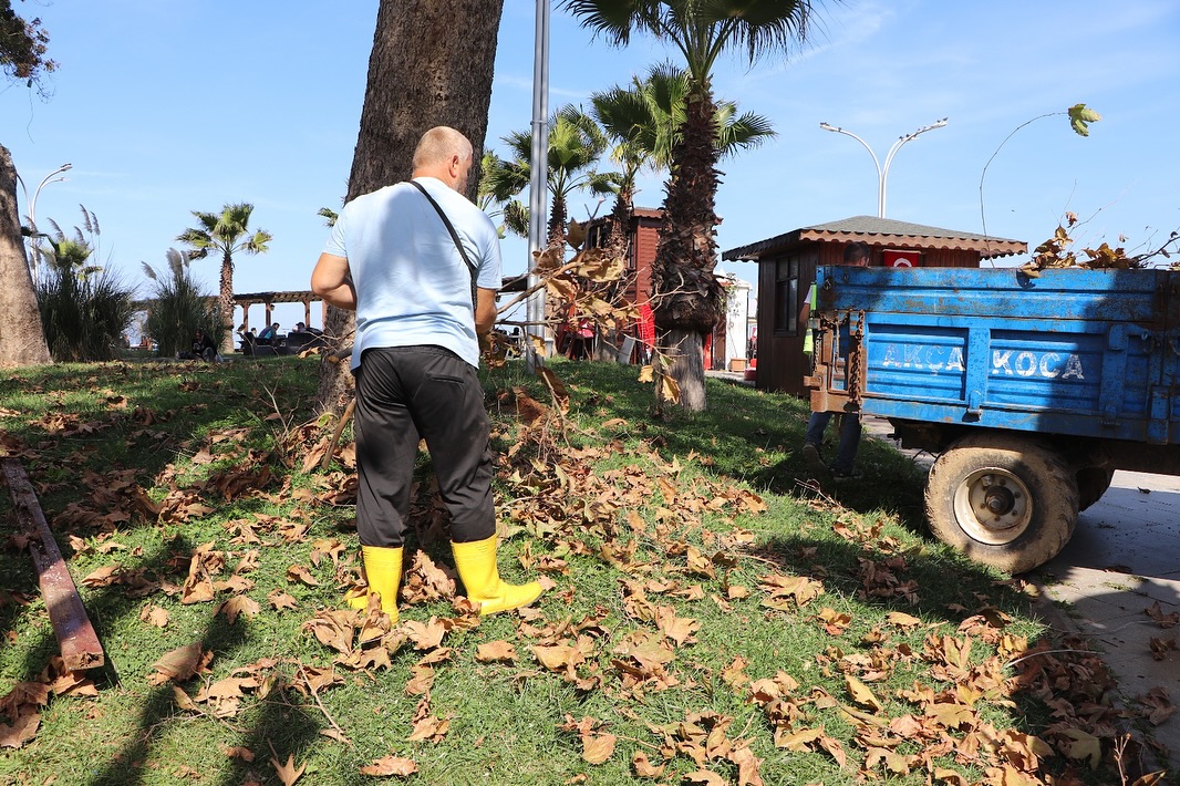 557411879 18530151883024515 8734147649919137618 N