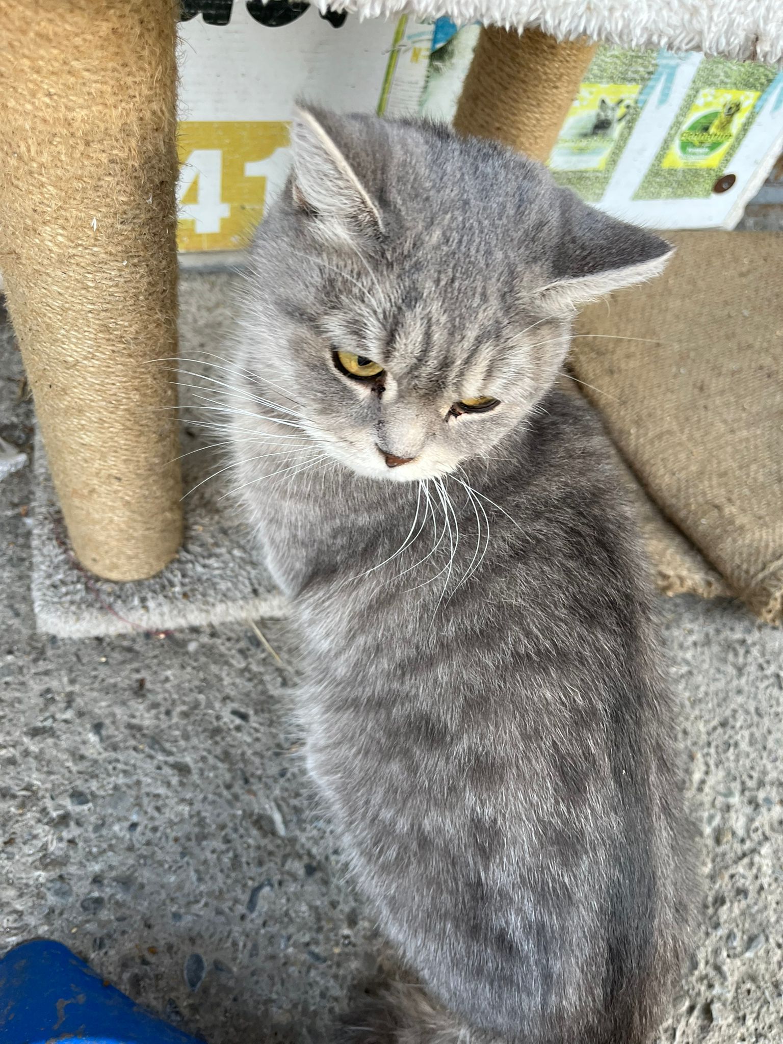 6B12Eabd E319 49Ca Bb7B E080426C5023