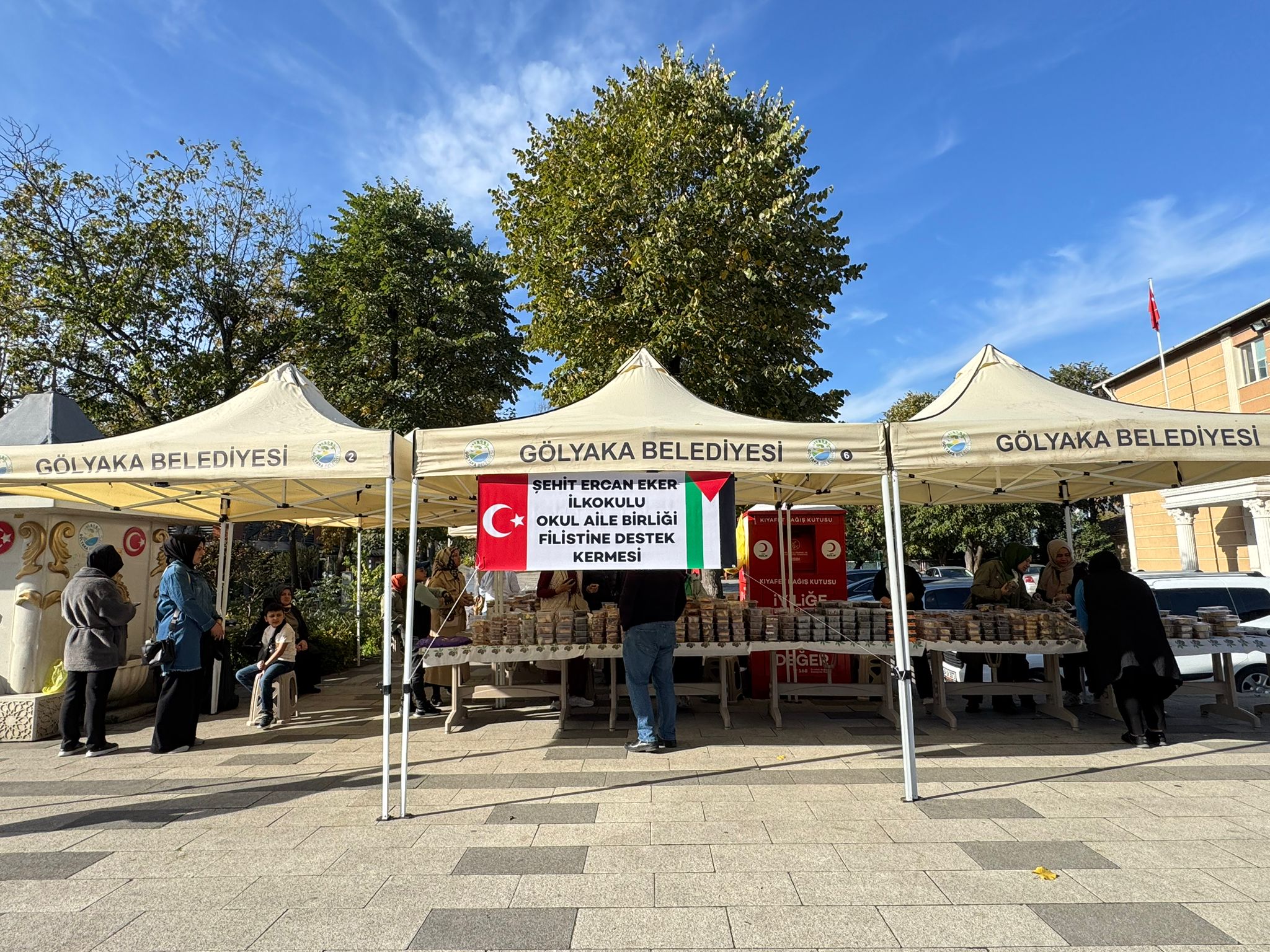 8578Ad74 C3D6 4033 B212 8F0D9Edb8Dce