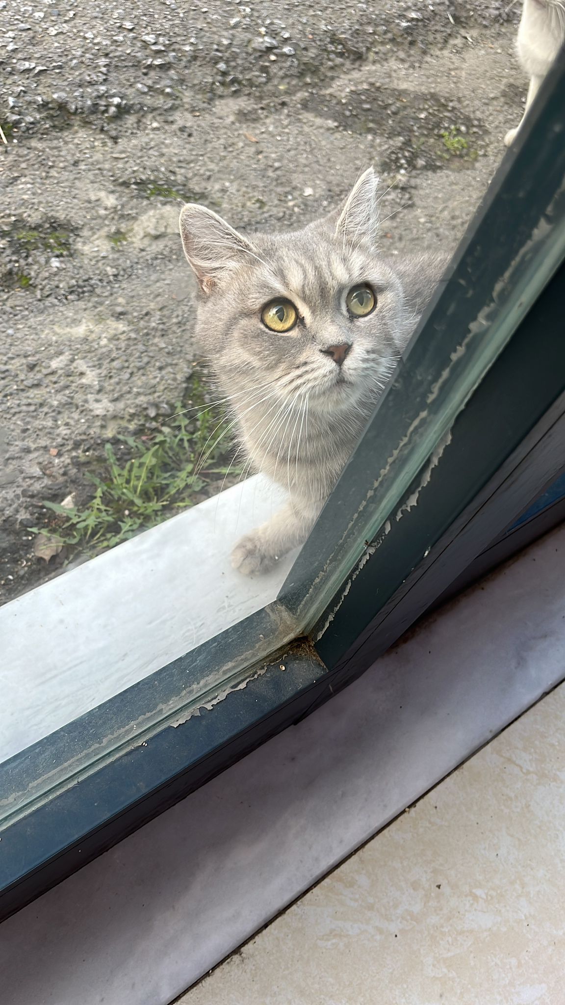 93Fa777B F5Be 4Adc A80C 47E02370D067