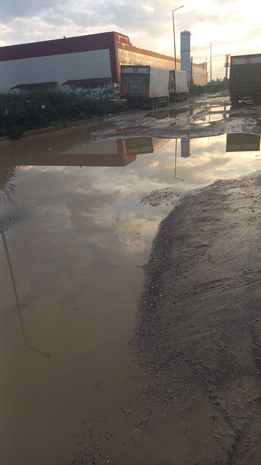 9B5C29F1 Eed7 48F2 Ac44 A32A189C7Db1