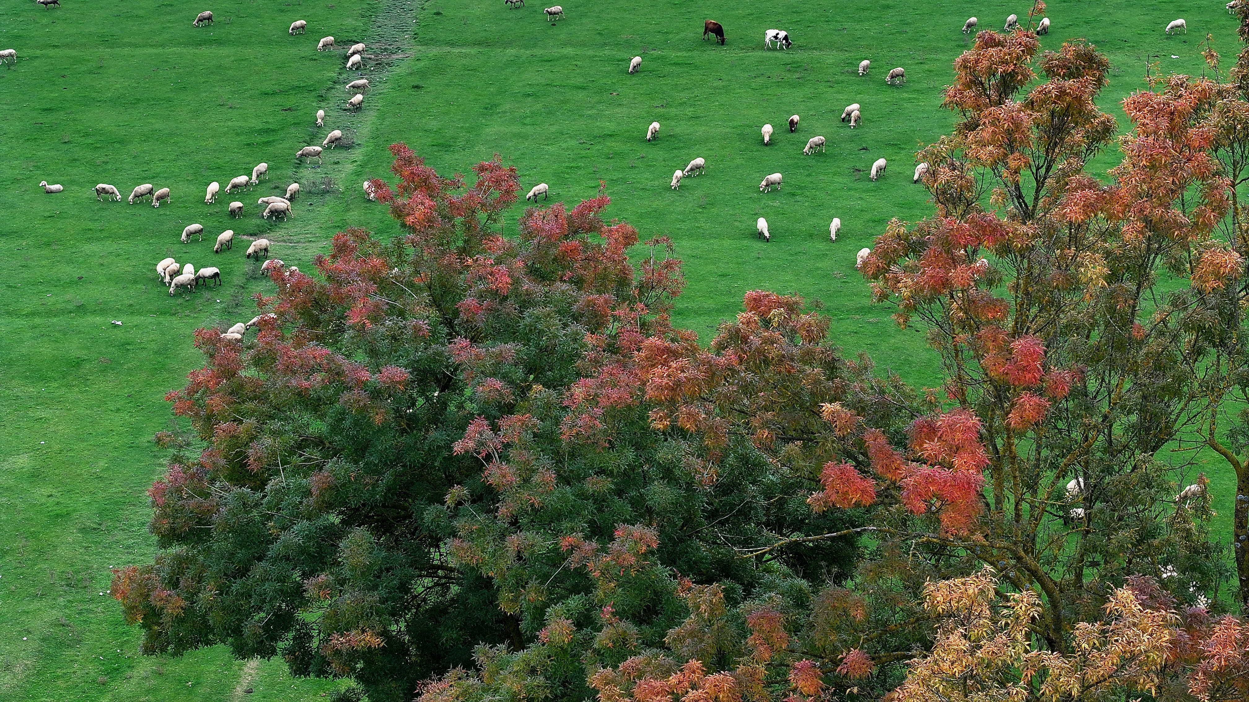 A A 20251023 39498043 39498033 G O L Y A K A K U L T U R P A R K S O N B A H A R R E N K L E R I N E B U R U N D U