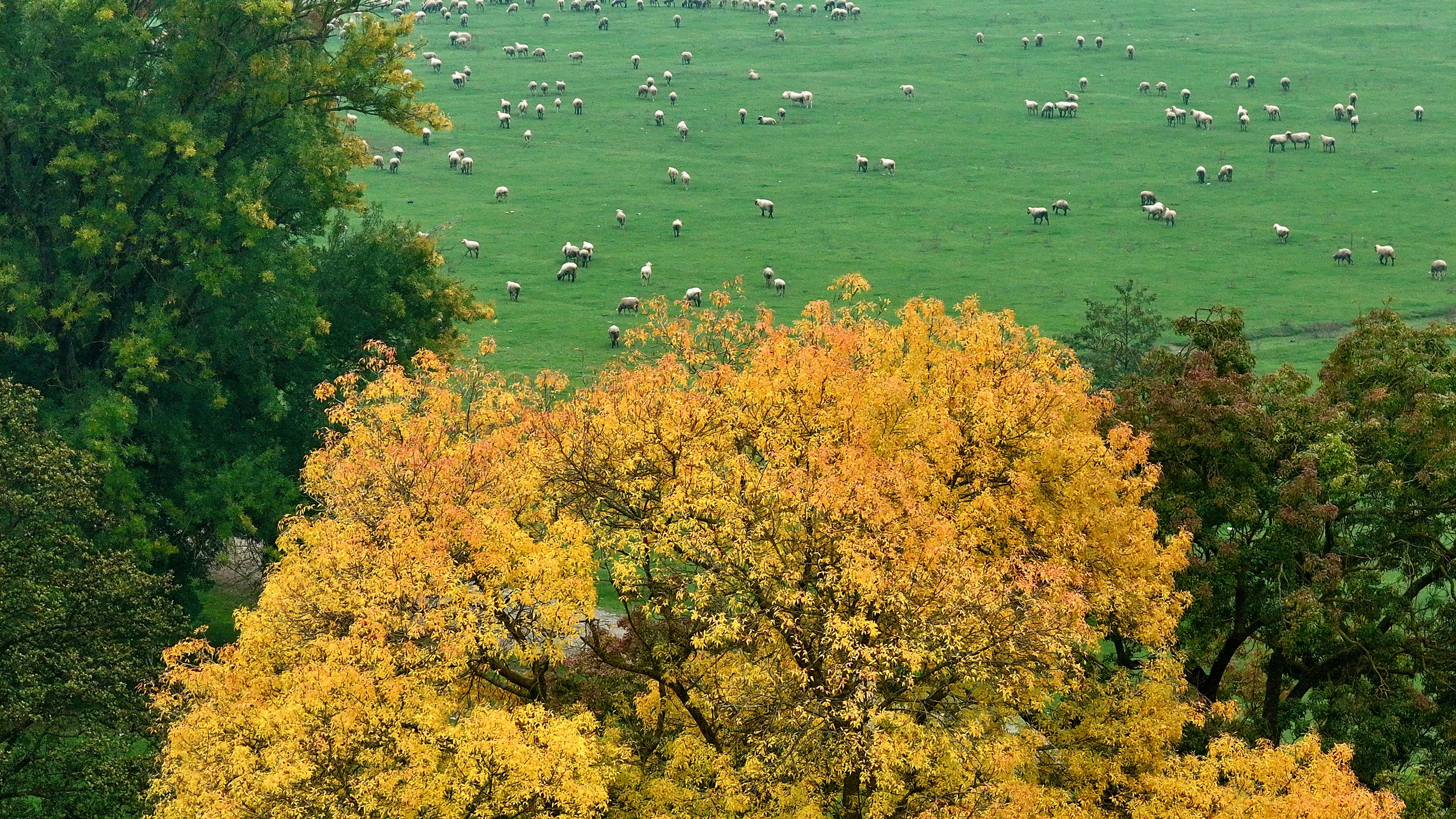 A A 20251023 39498043 39498036 G O L Y A K A K U L T U R P A R K S O N B A H A R R E N K L E R I N E B U R U N D U