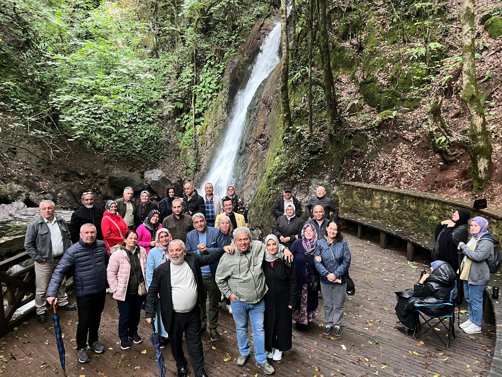 A1Dc7737 F352 4E0E 80Cf 328A536Facf2