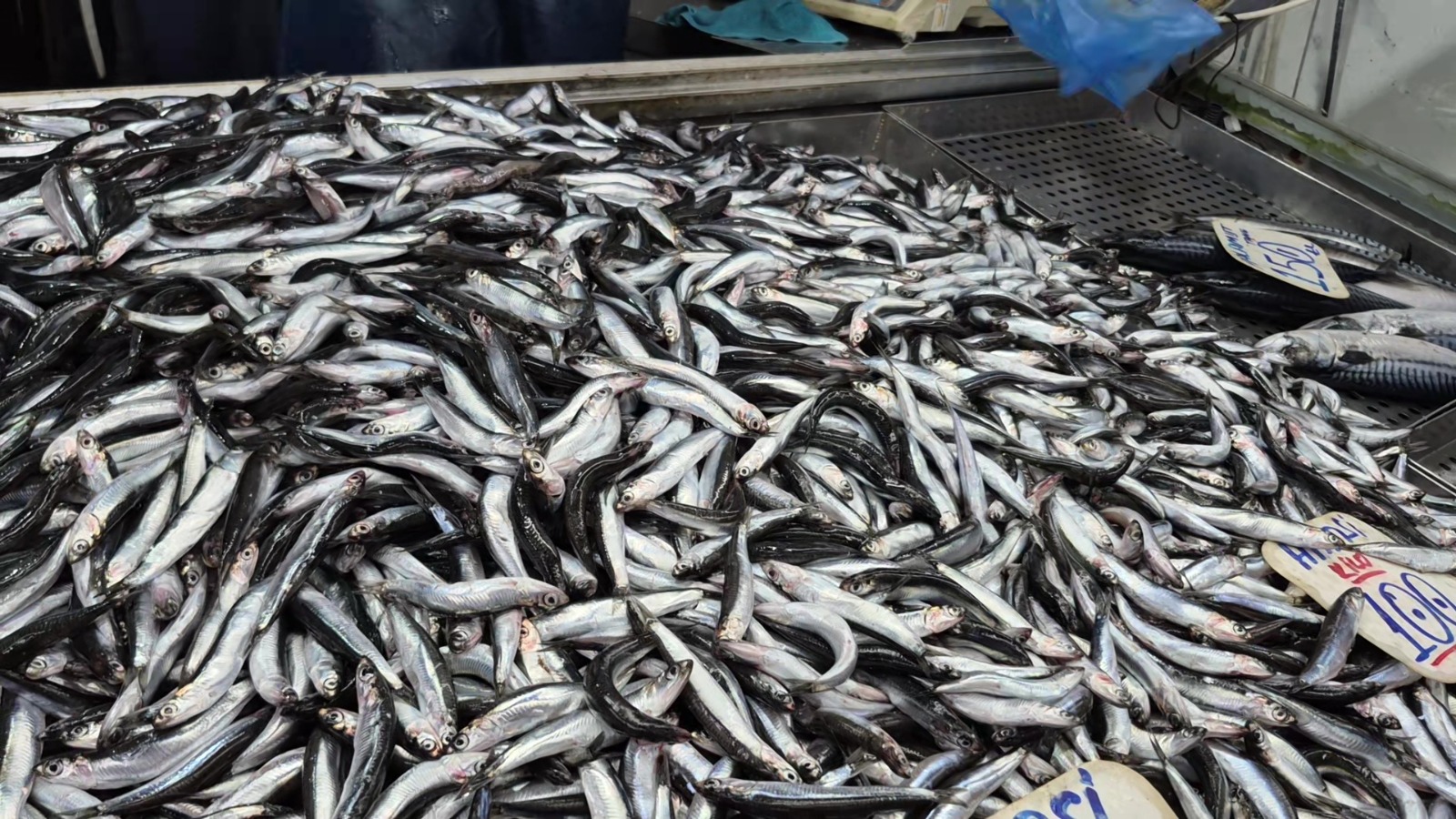 Aa8D4Ad8 22C9 4176 9Eba 8C4A3Eb416Be