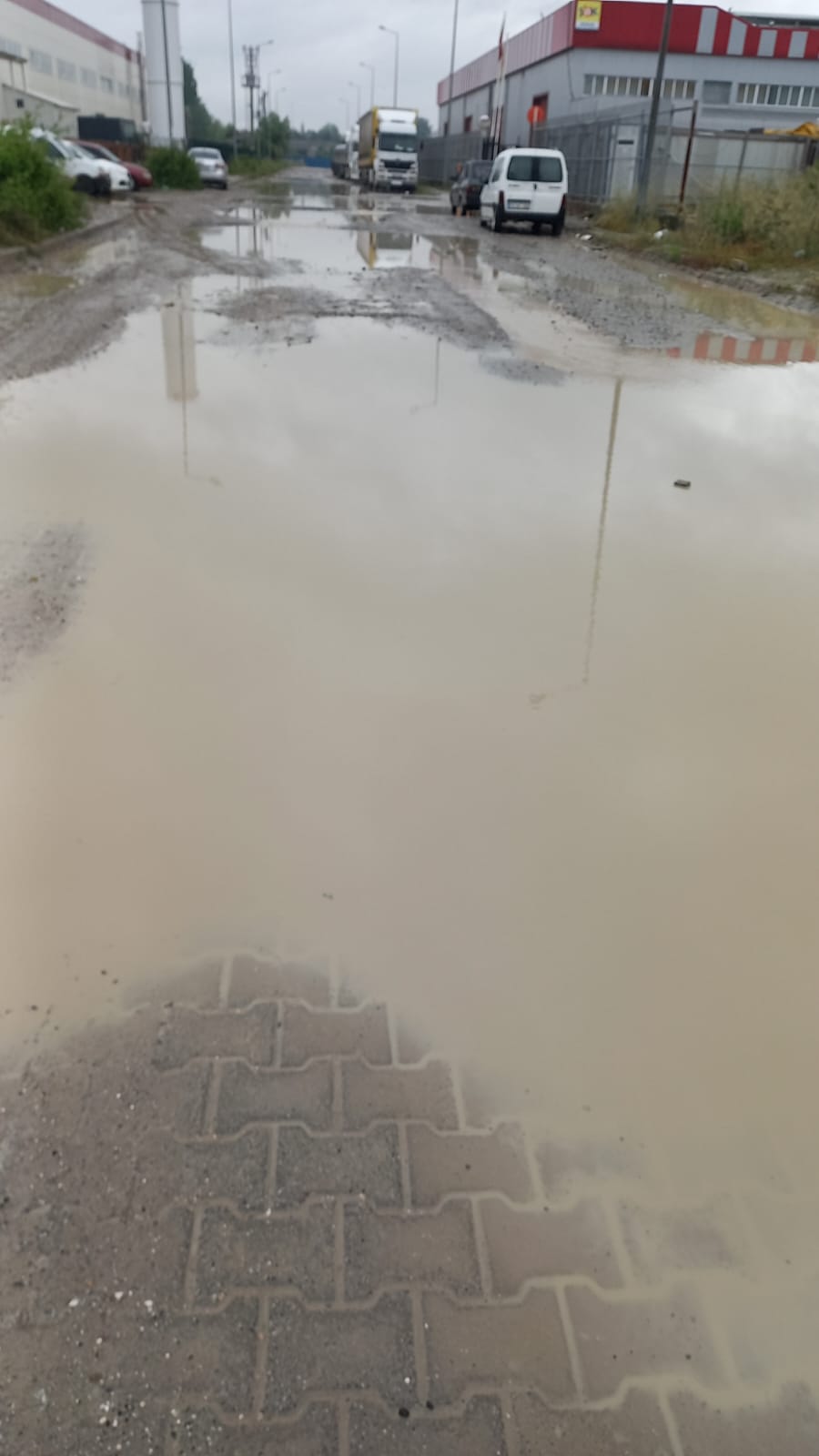 E93F359C 65C3 4D18 Ba6B 95837871D985