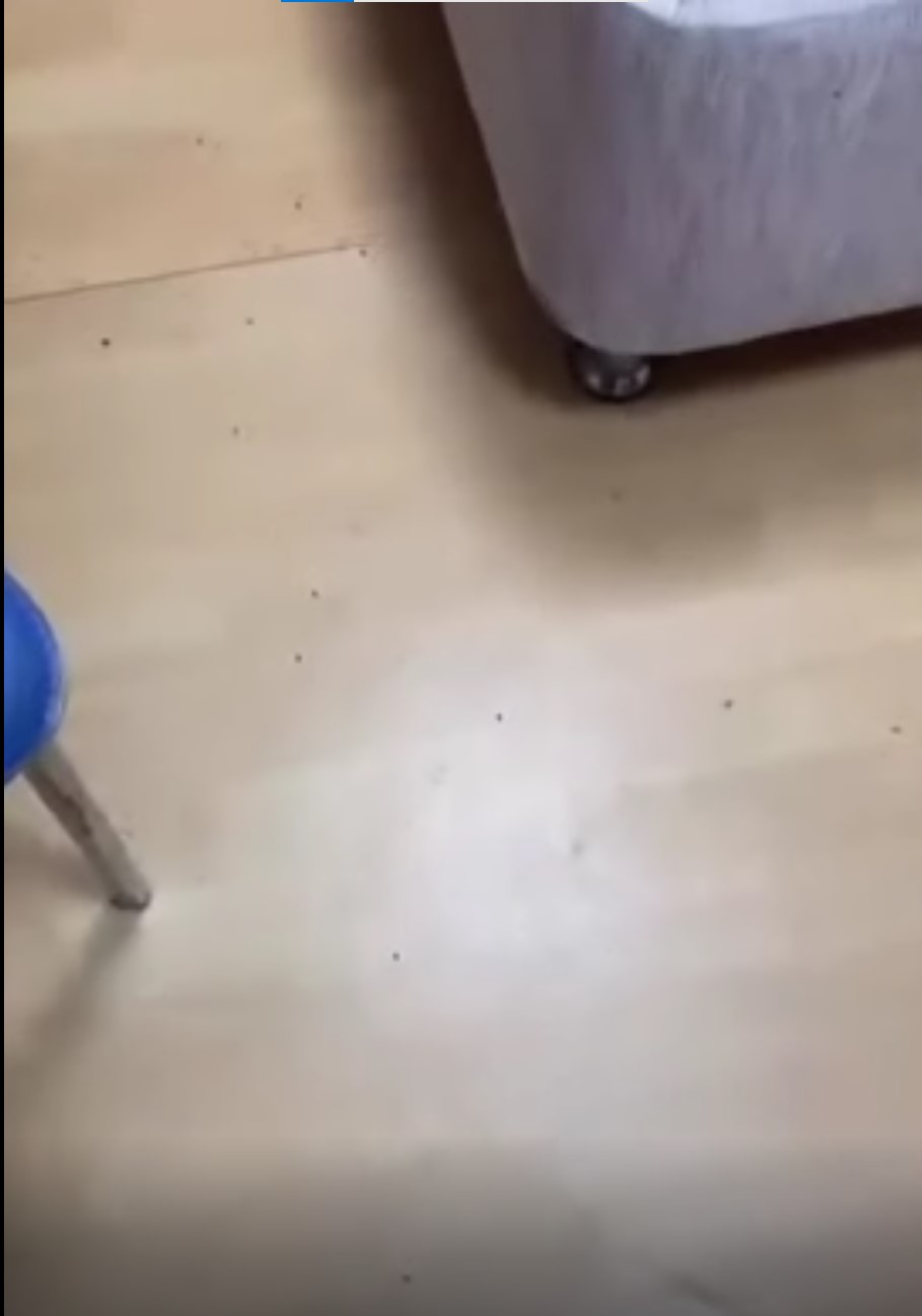 Ekran Görüntüsü 2025 10 05 133422