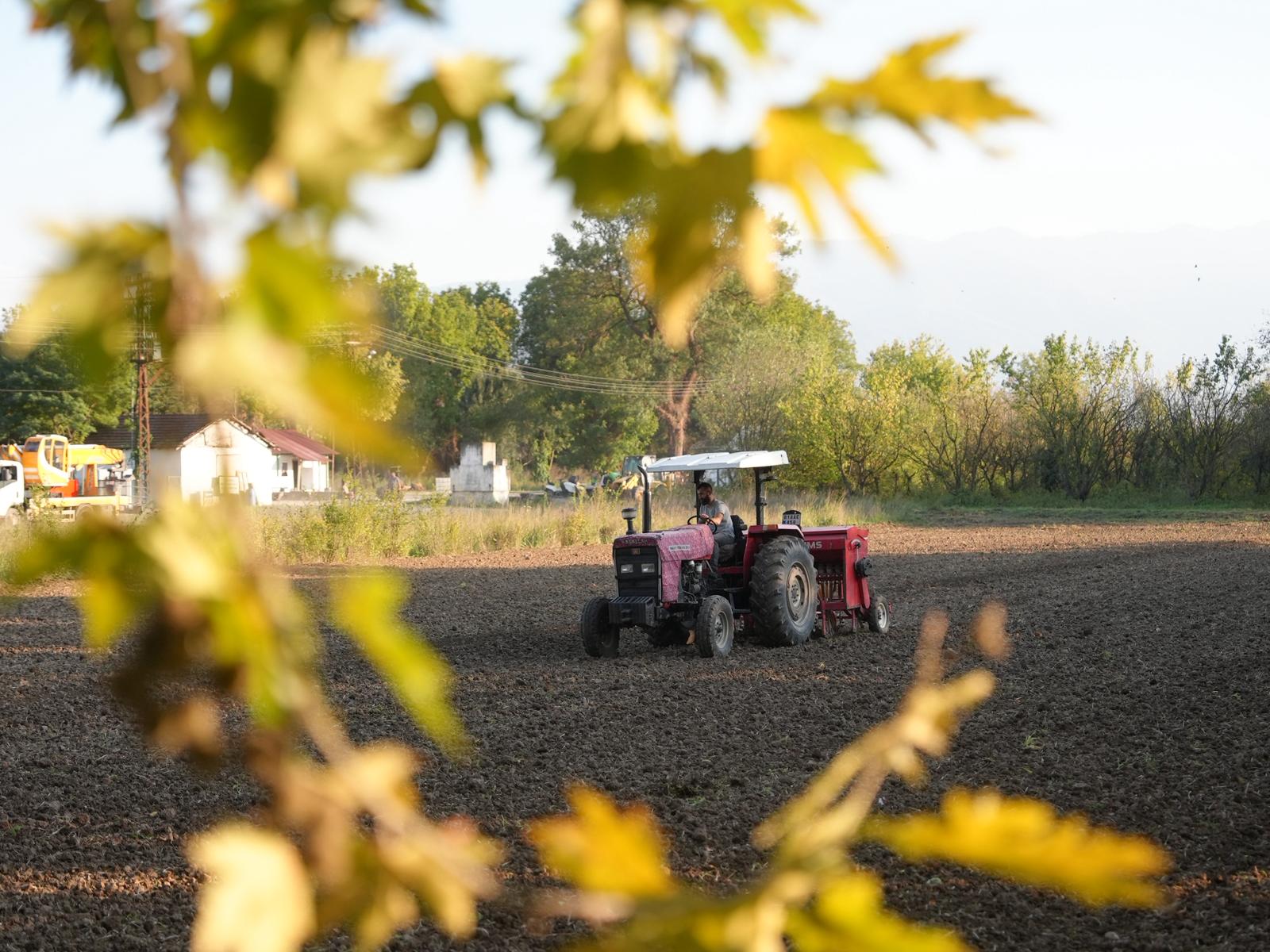 Siyez Buğdayı Ekimi (1)