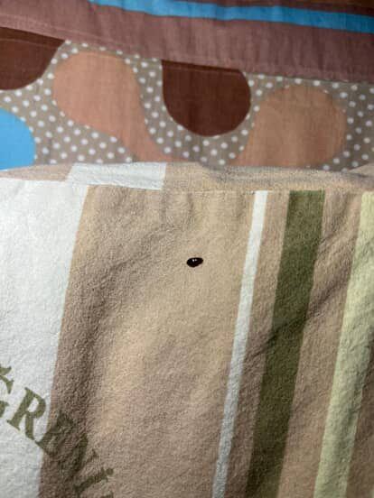 Whatsapp Image 2025 10 05 At 13.12.13 (1)