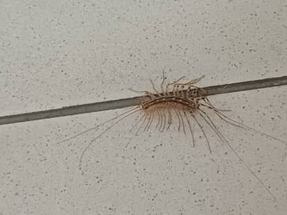 Whatsapp Image 2025 10 05 At 13.12.13 (2)