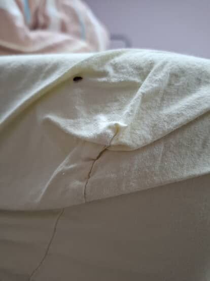 Whatsapp Image 2025 10 05 At 13.12.13 (3)