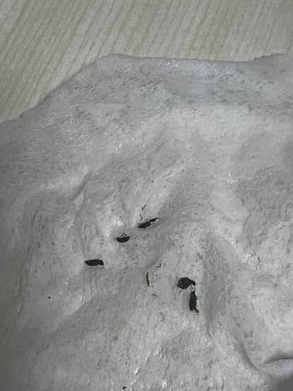 Whatsapp Image 2025 10 05 At 13.12.13 (4)