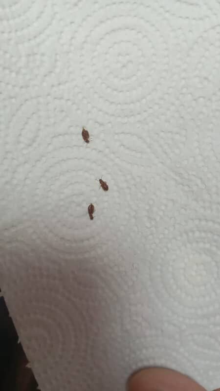 Whatsapp Image 2025 10 05 At 13.12.13