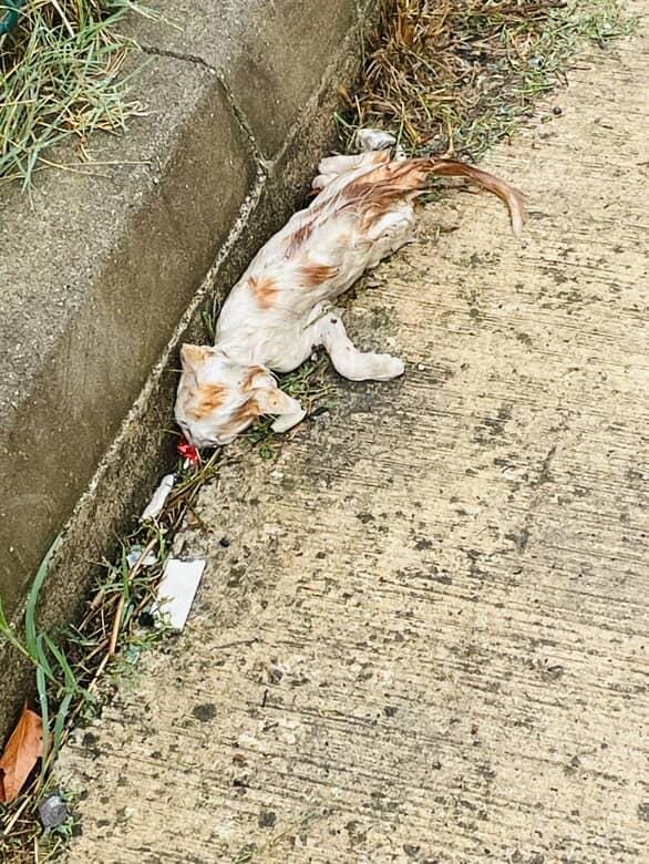 Whatsapp Image 2025 10 08 At 12.56.34