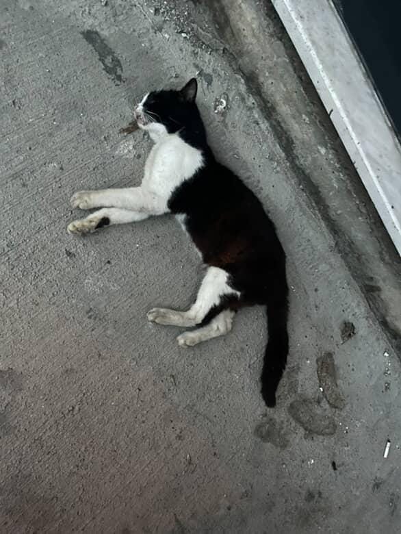 Whatsapp Image 2025 10 08 At 12.56.36