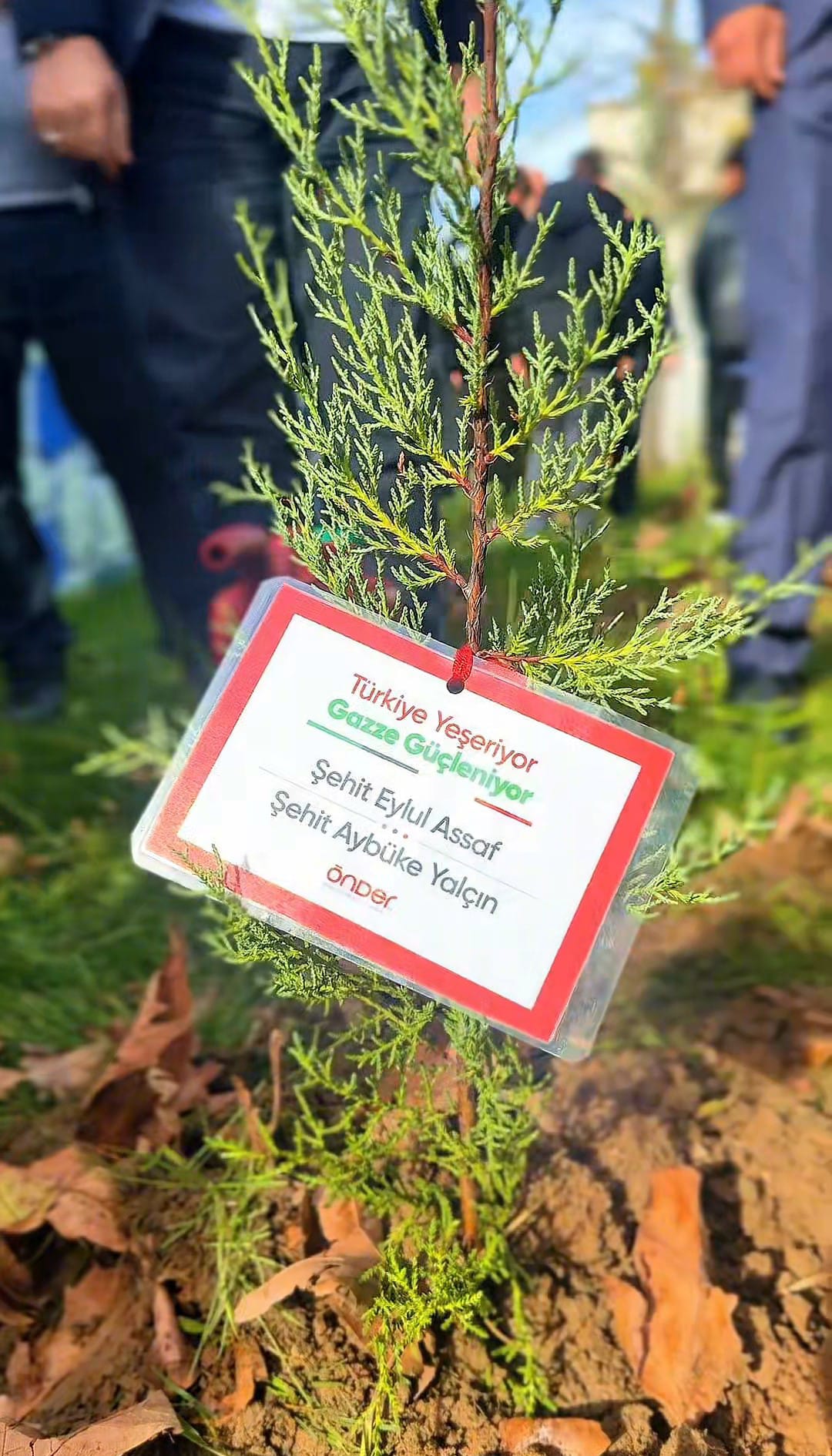 20C1C241 741B 41Ac 8270 6Cc0Fc74D1Bf