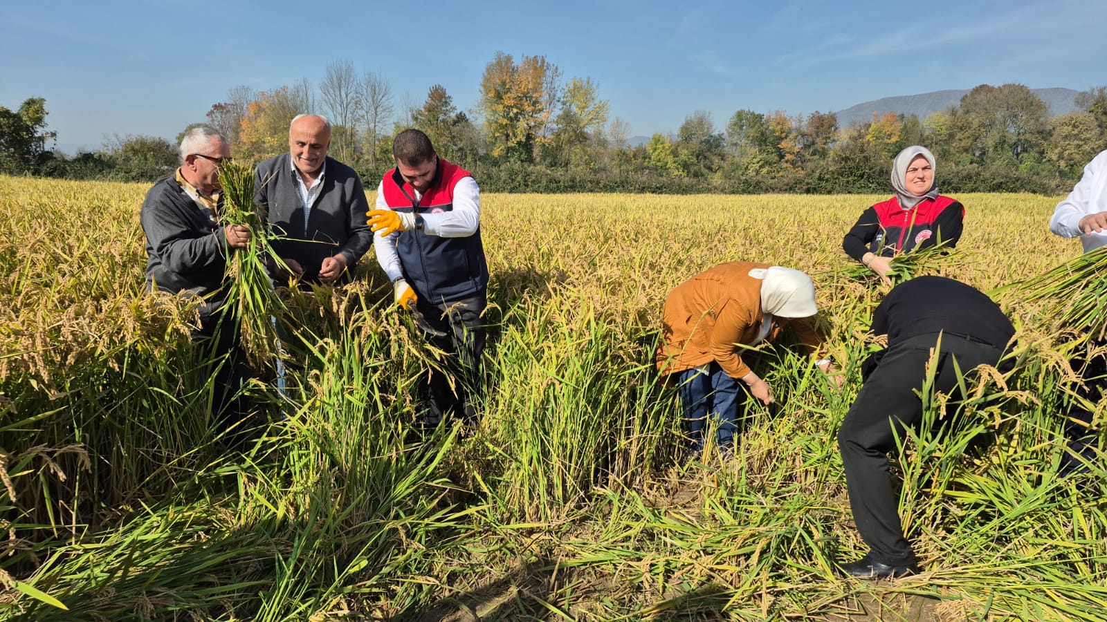 63E66302 5Ba0 4139 869F 0A8F50E7A24C