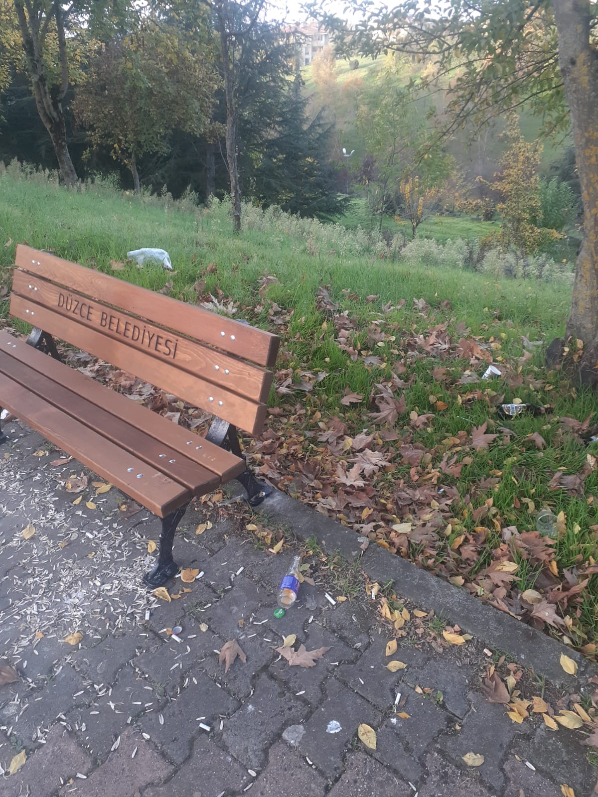 641Cf3A0 6C47 4444 Bbb0 30F1Fc829221