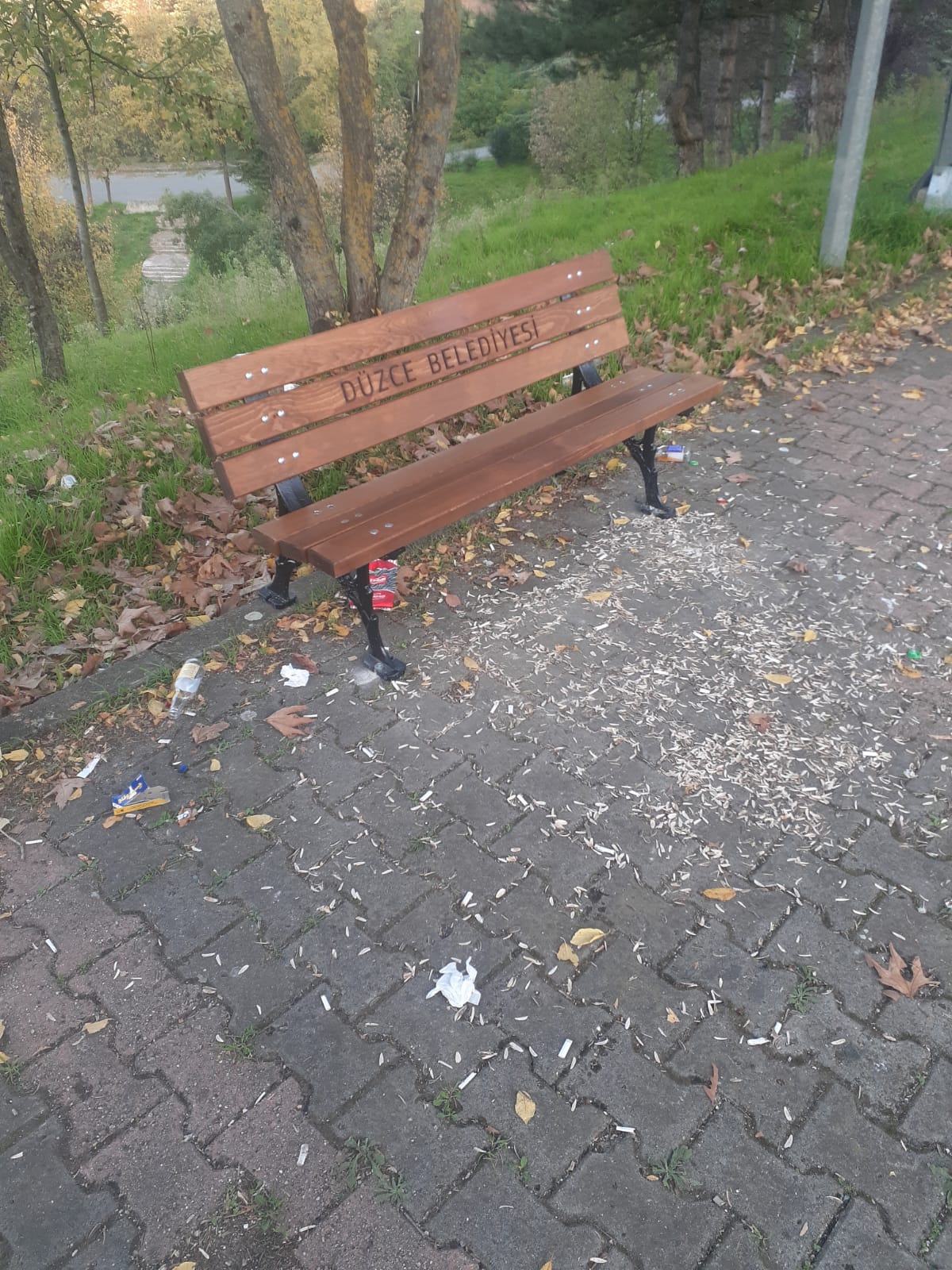 6A681366 2322 42Ca 8605 083B5Fd75D52