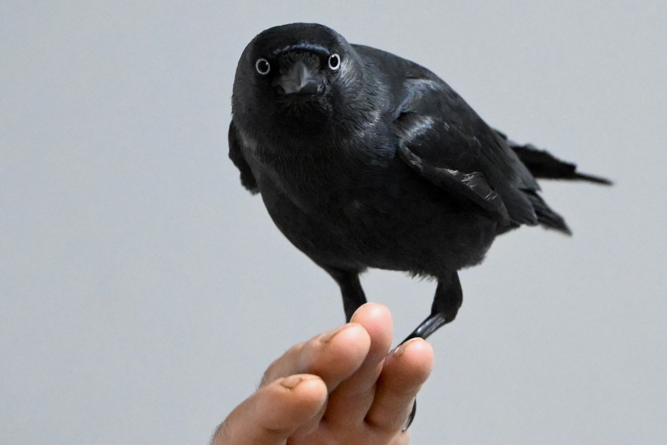 A A 20251122 39773358 39773357 S A H I P L E N D I G I K A R G A K O M U R E N Y A K I N D O S T U O L D U