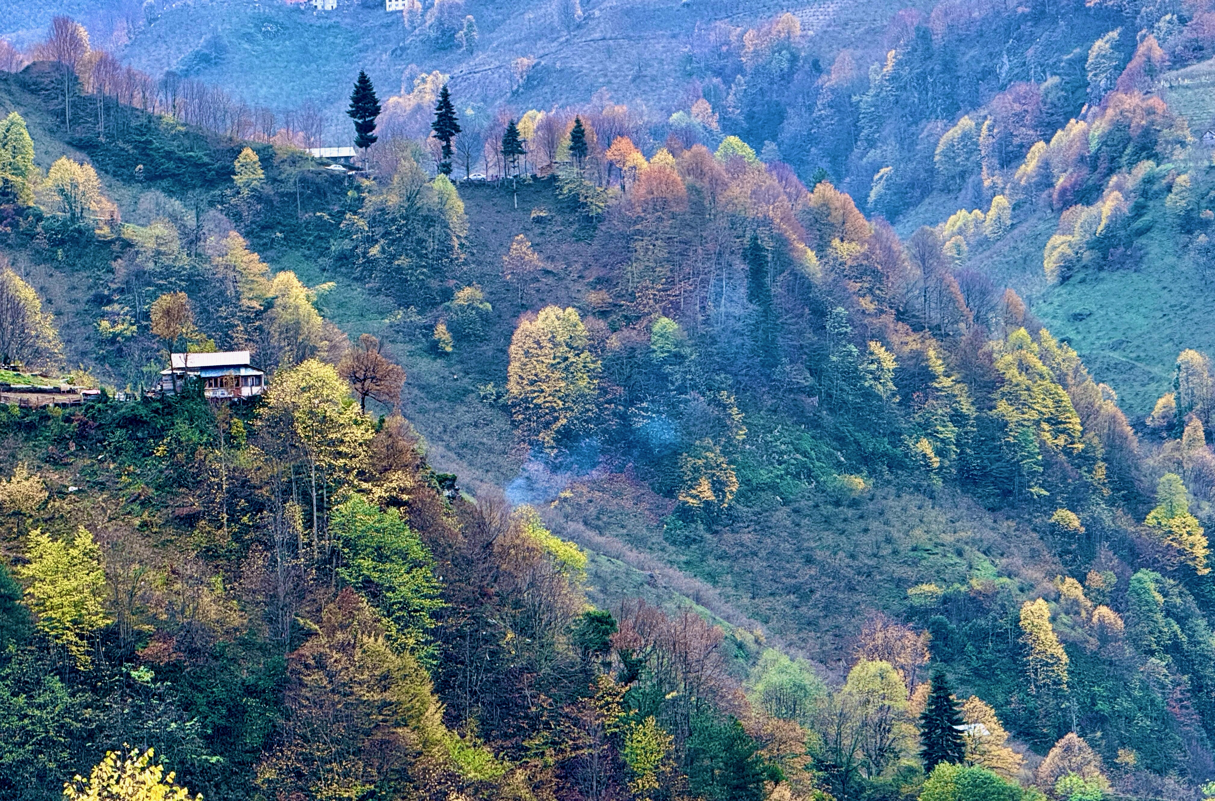 A A 20251126 39808381 39808376 D U Z C E S O N B A H A R R E N K L E R I N E B U R U N D U