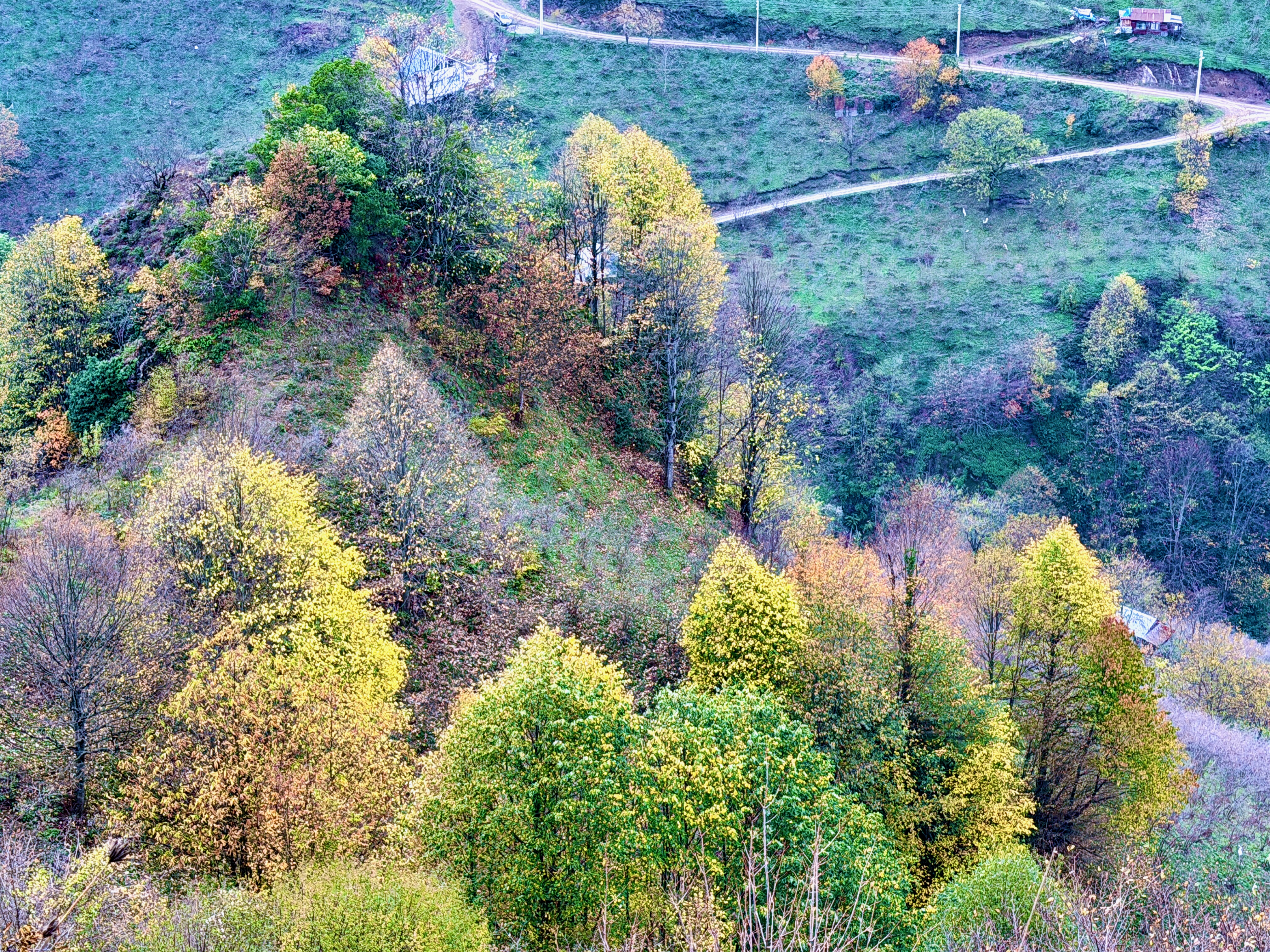 A A 20251126 39808381 39808377 D U Z C E S O N B A H A R R E N K L E R I N E B U R U N D U