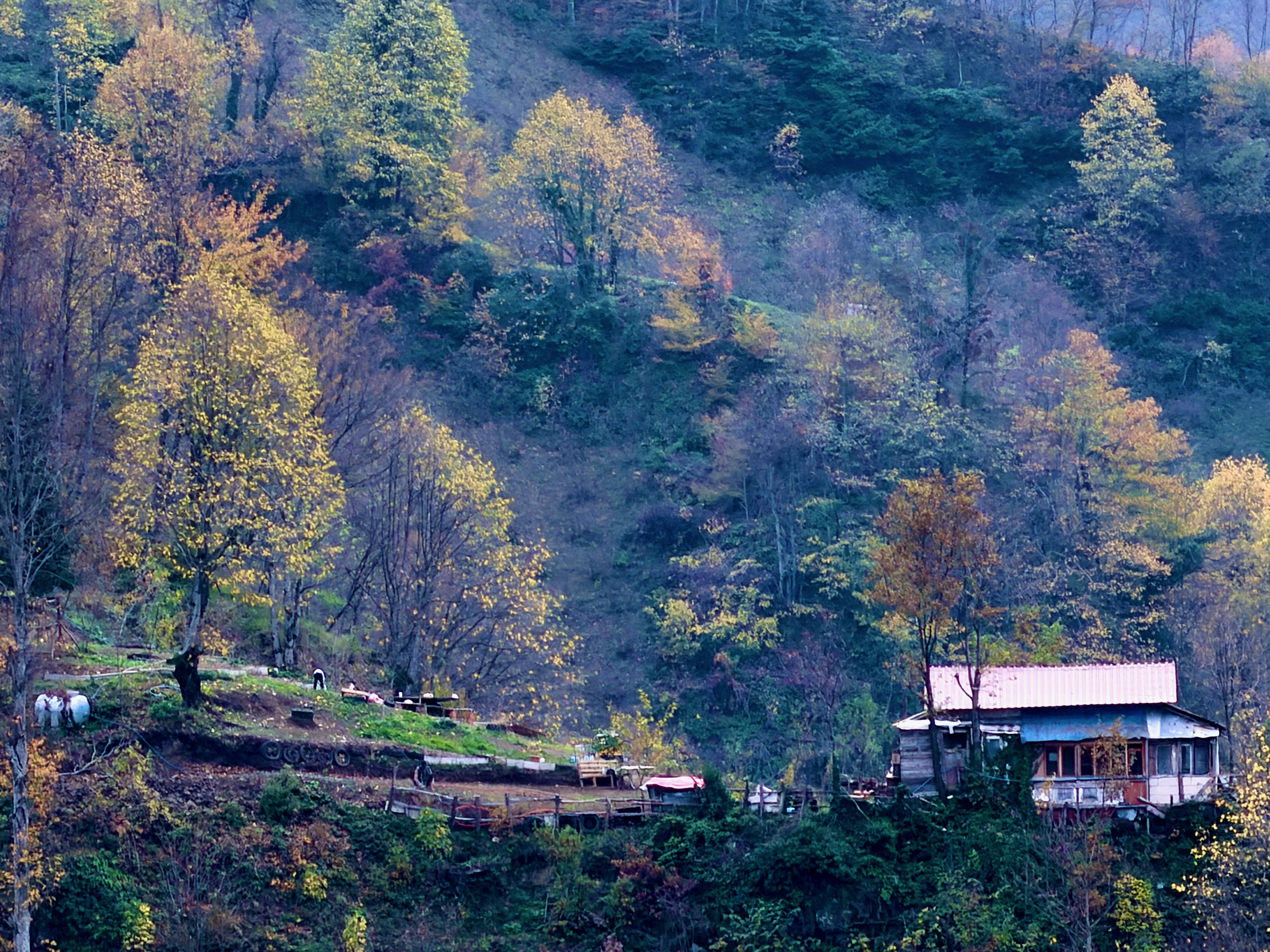 A A 20251126 39808381 39808378 D U Z C E S O N B A H A R R E N K L E R I N E B U R U N D U