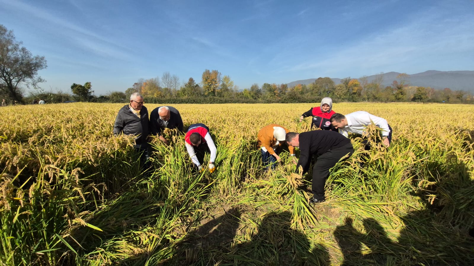 Da57781A Ccf7 4734 Ac9C 294F08Fa2Ee3