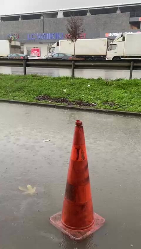 F O T O2025 11 13 15H11M56S957